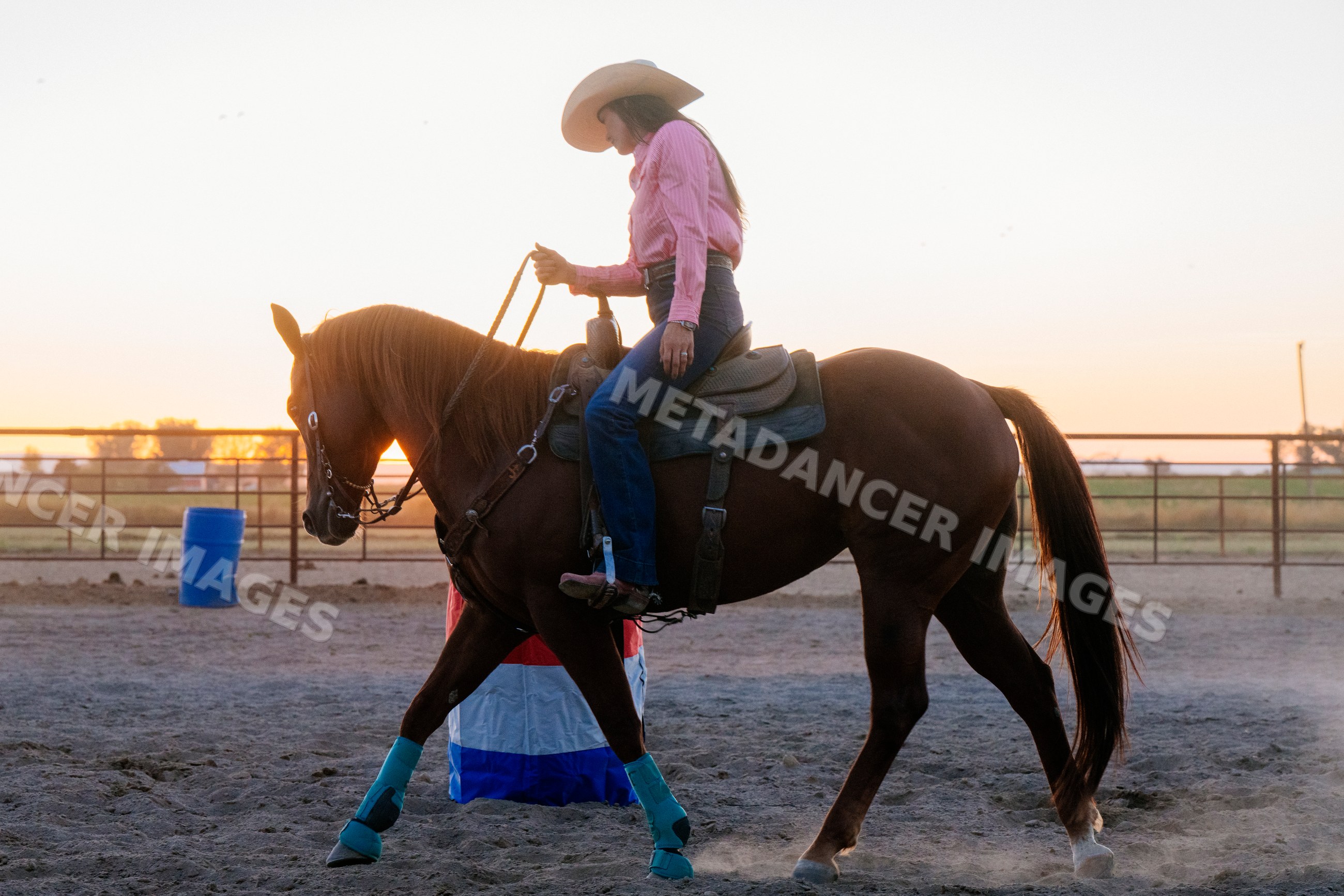 White woman riding horse in outdoor arena at sunset