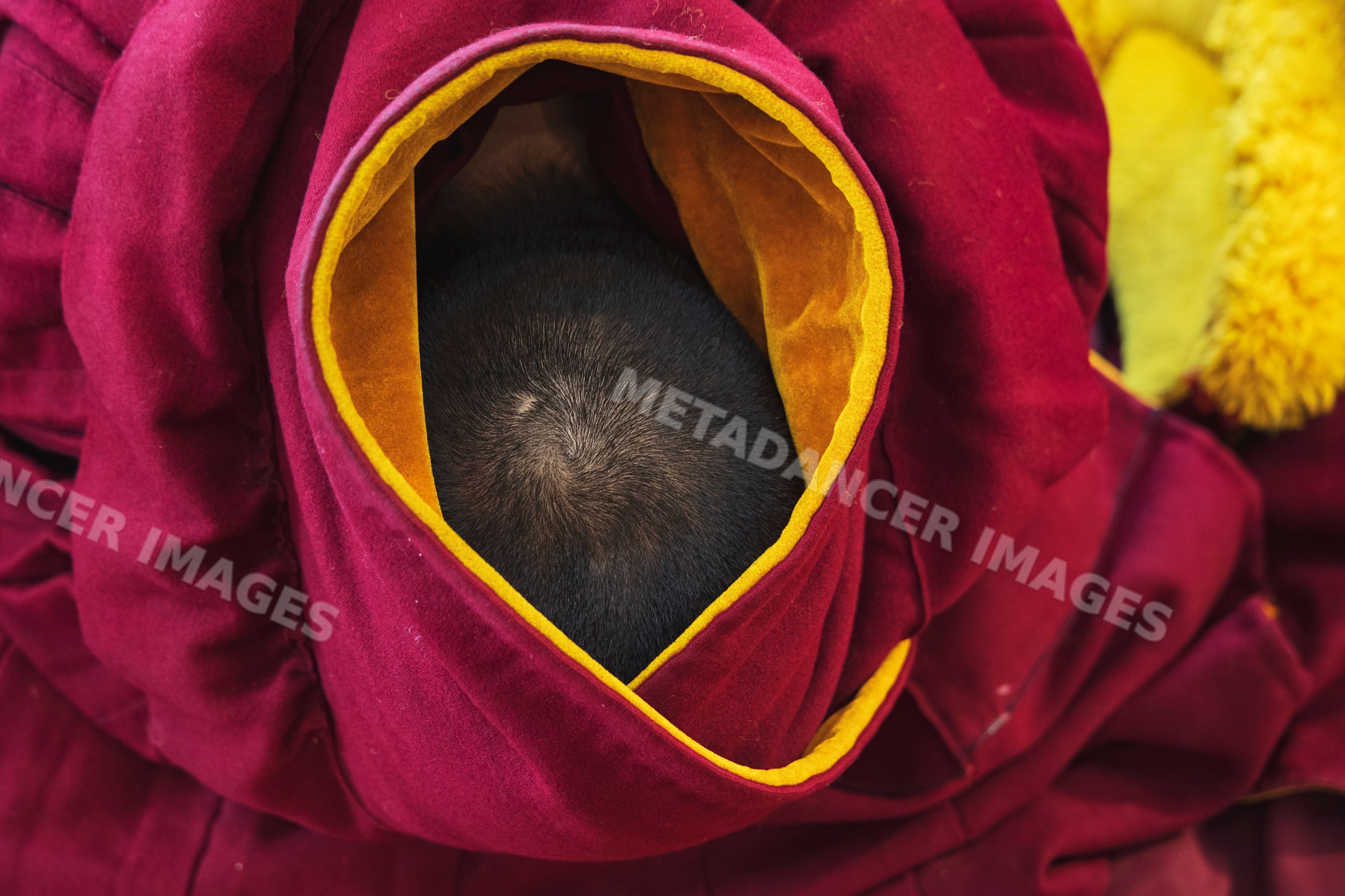 Monk's head inside maroon robe at sexusi monastery