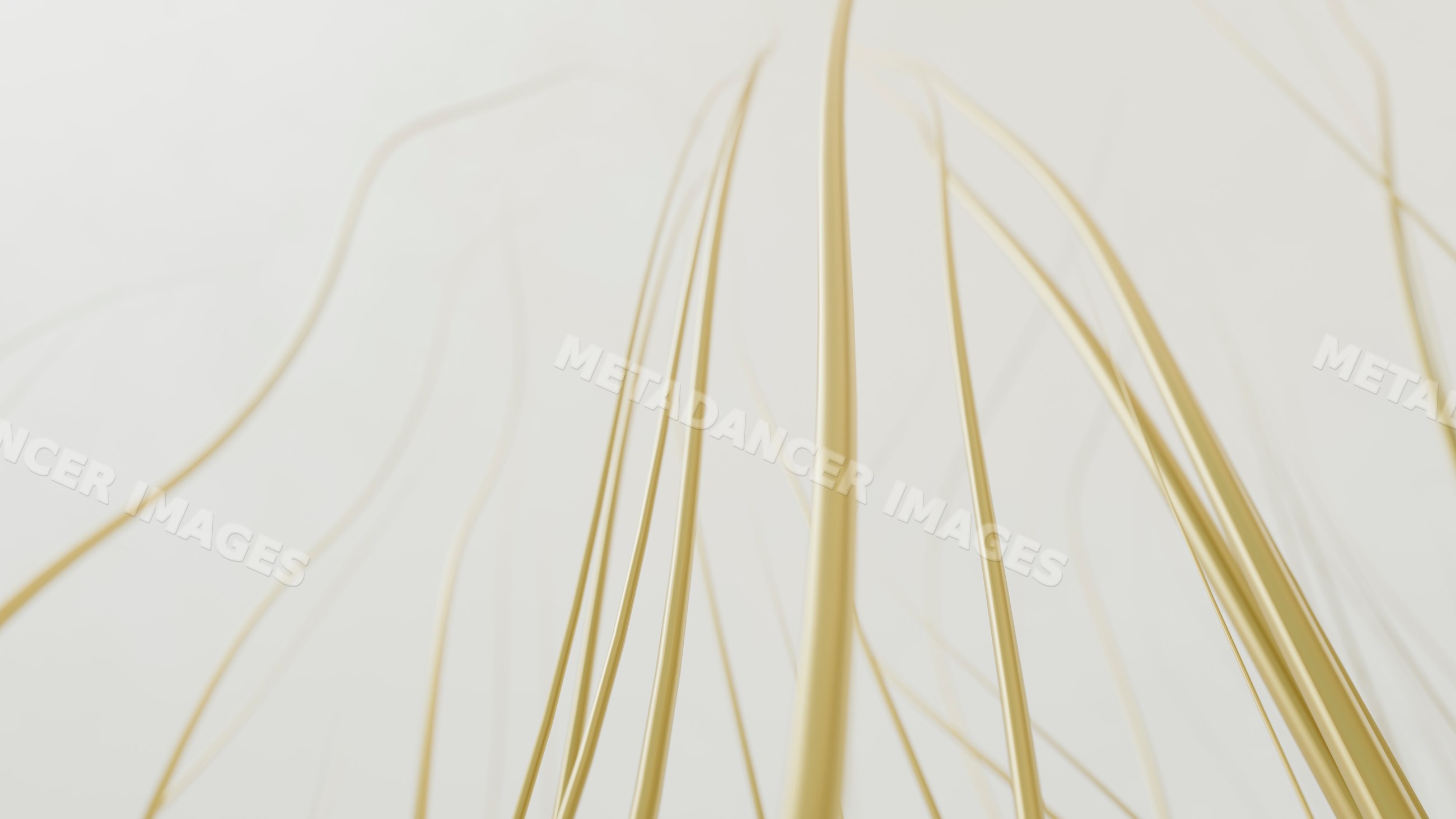 Thin beige curved strands in abstract minimalist design