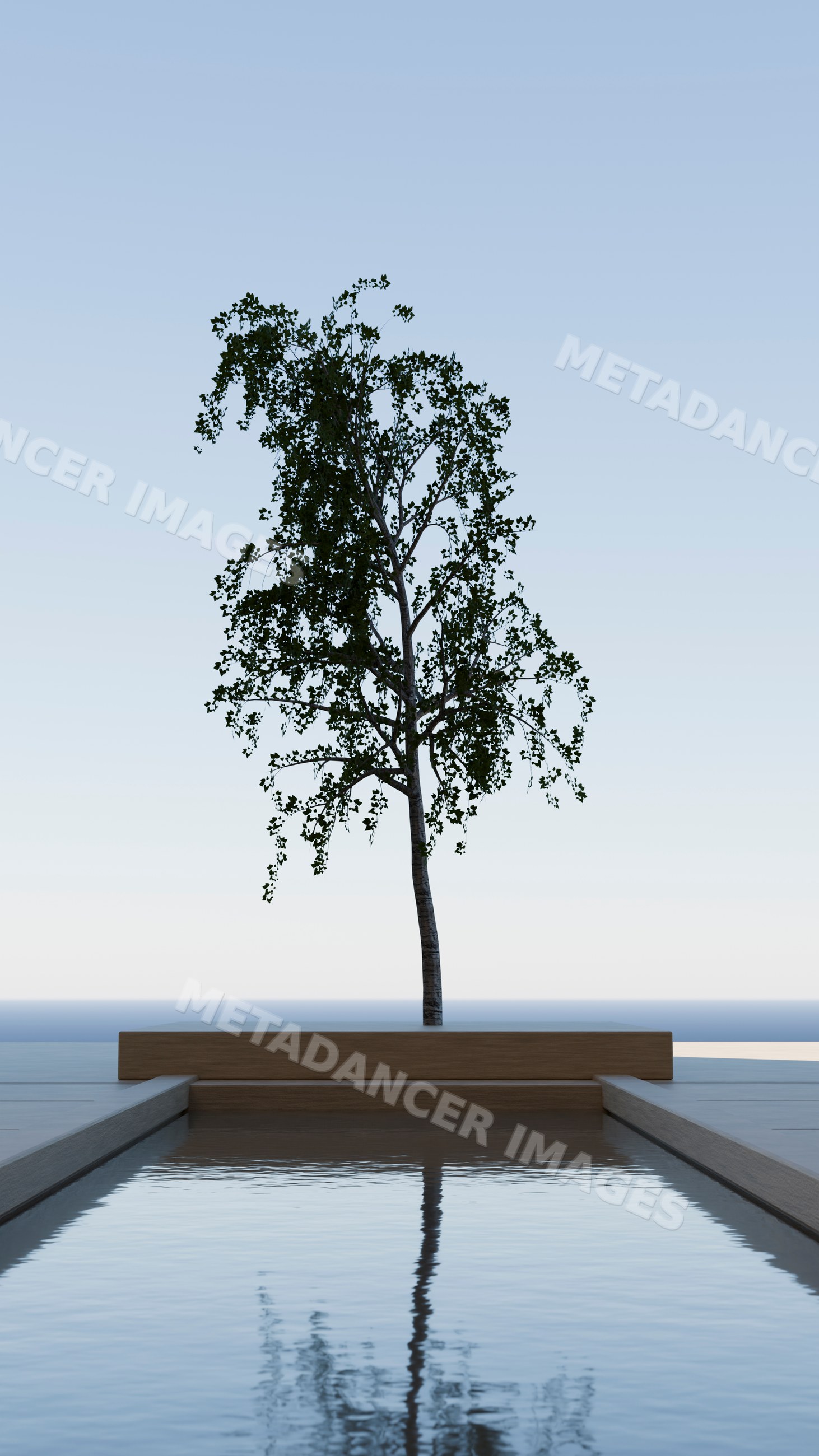 Tree reflection in a modern minimalist pool