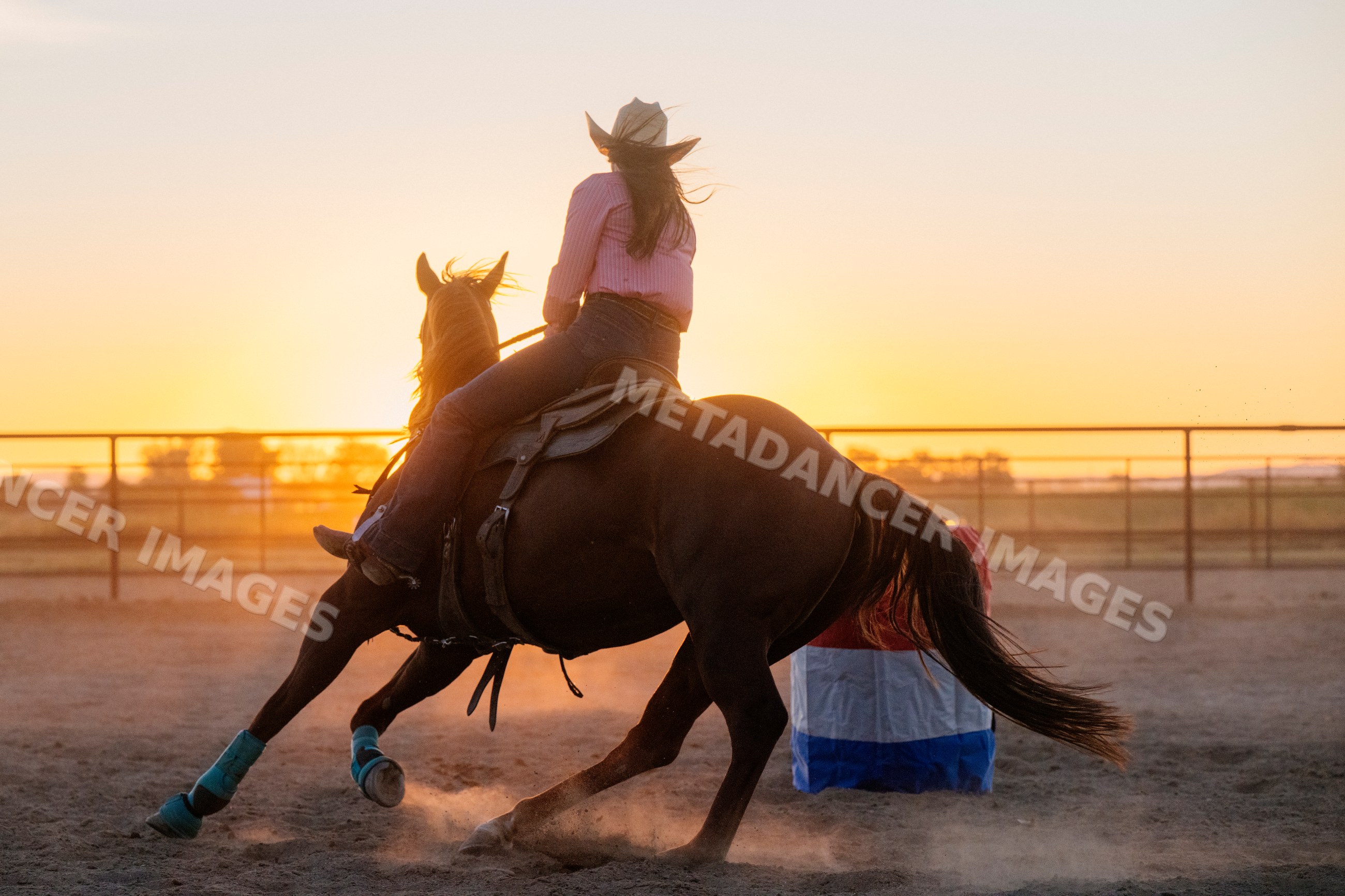 Horse rider making a sharp turn at sunset in outdoor riding arena