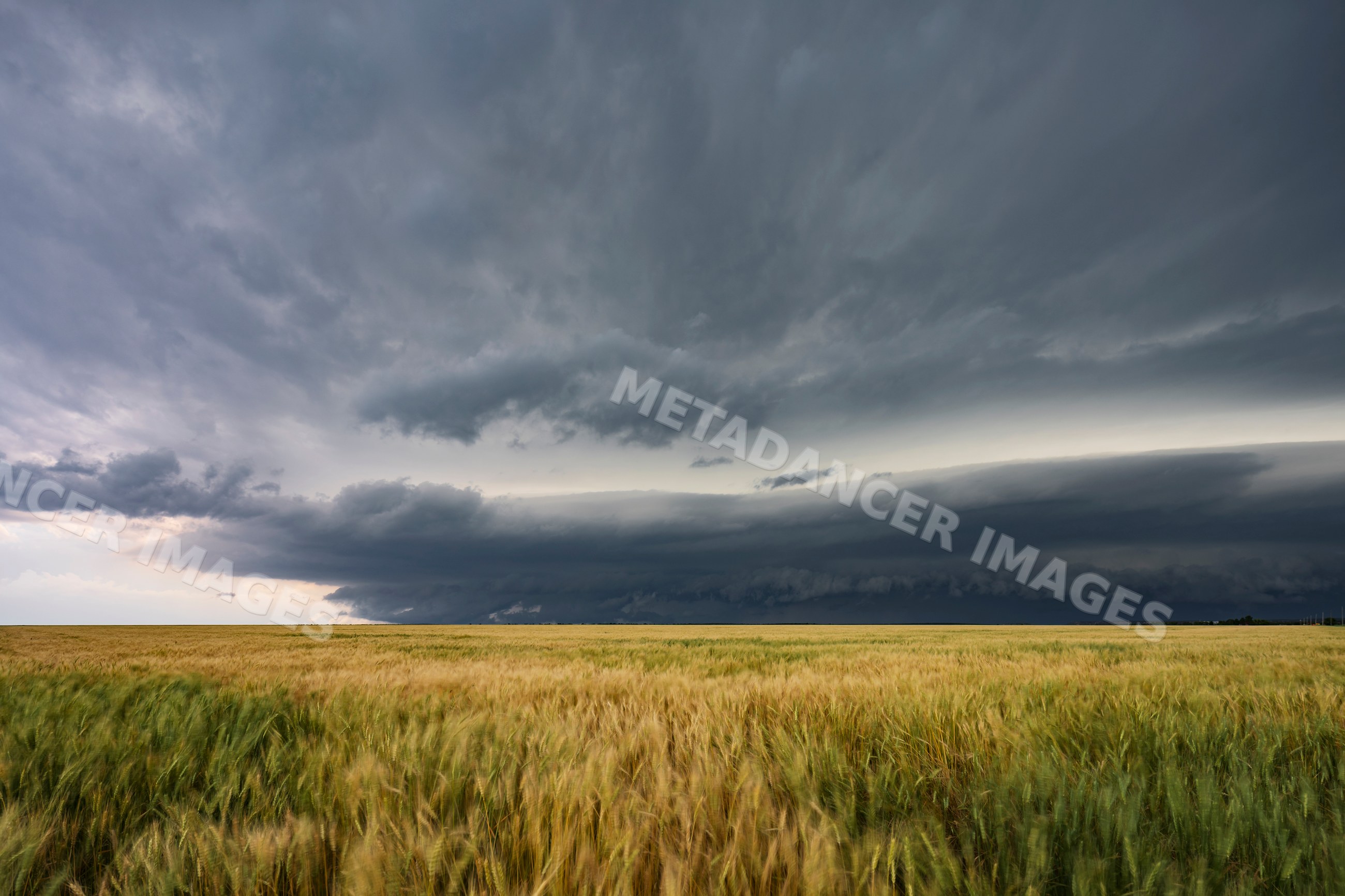 Supercell storm developing over grain field near norton, new mexico