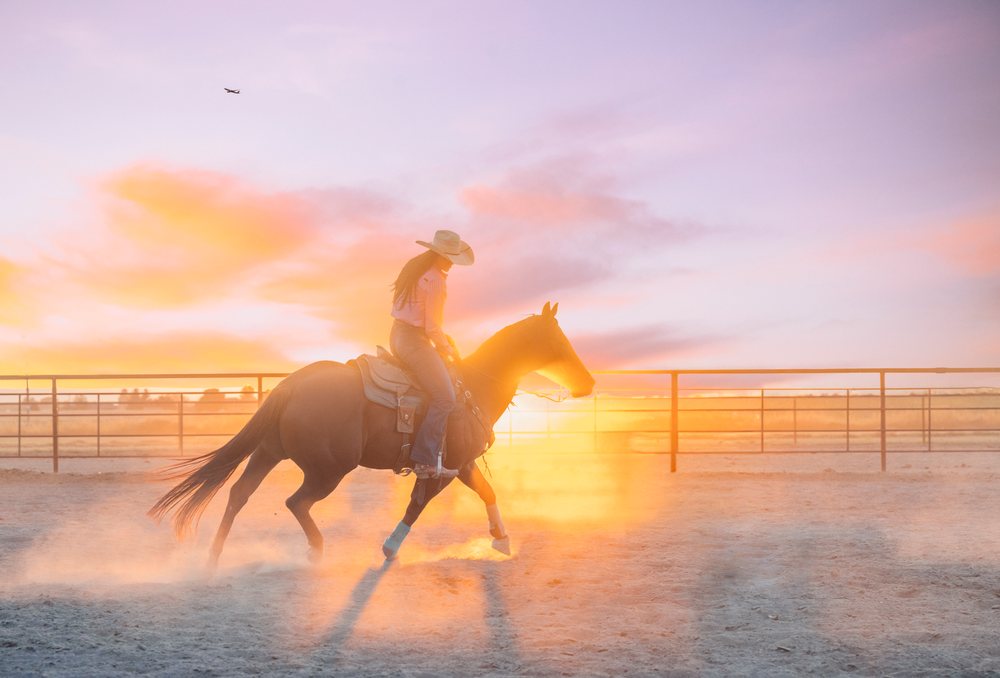 Horseback rider in dusty arena at sunset