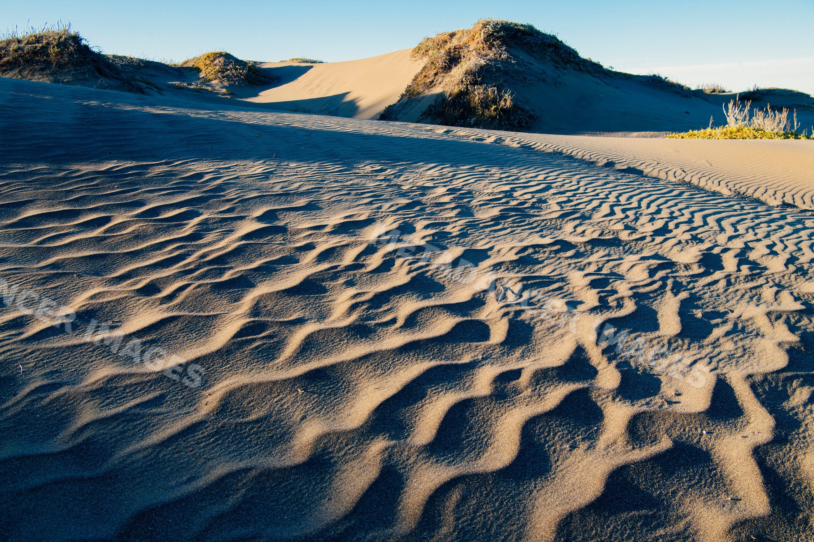 Scenic sand dunes with ripple patterns and sparse vegetation