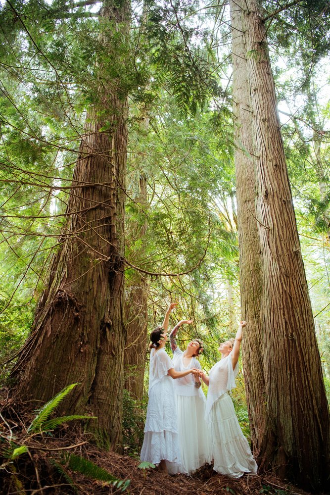 White women dancing among towering cedar trees in lush forest in USA