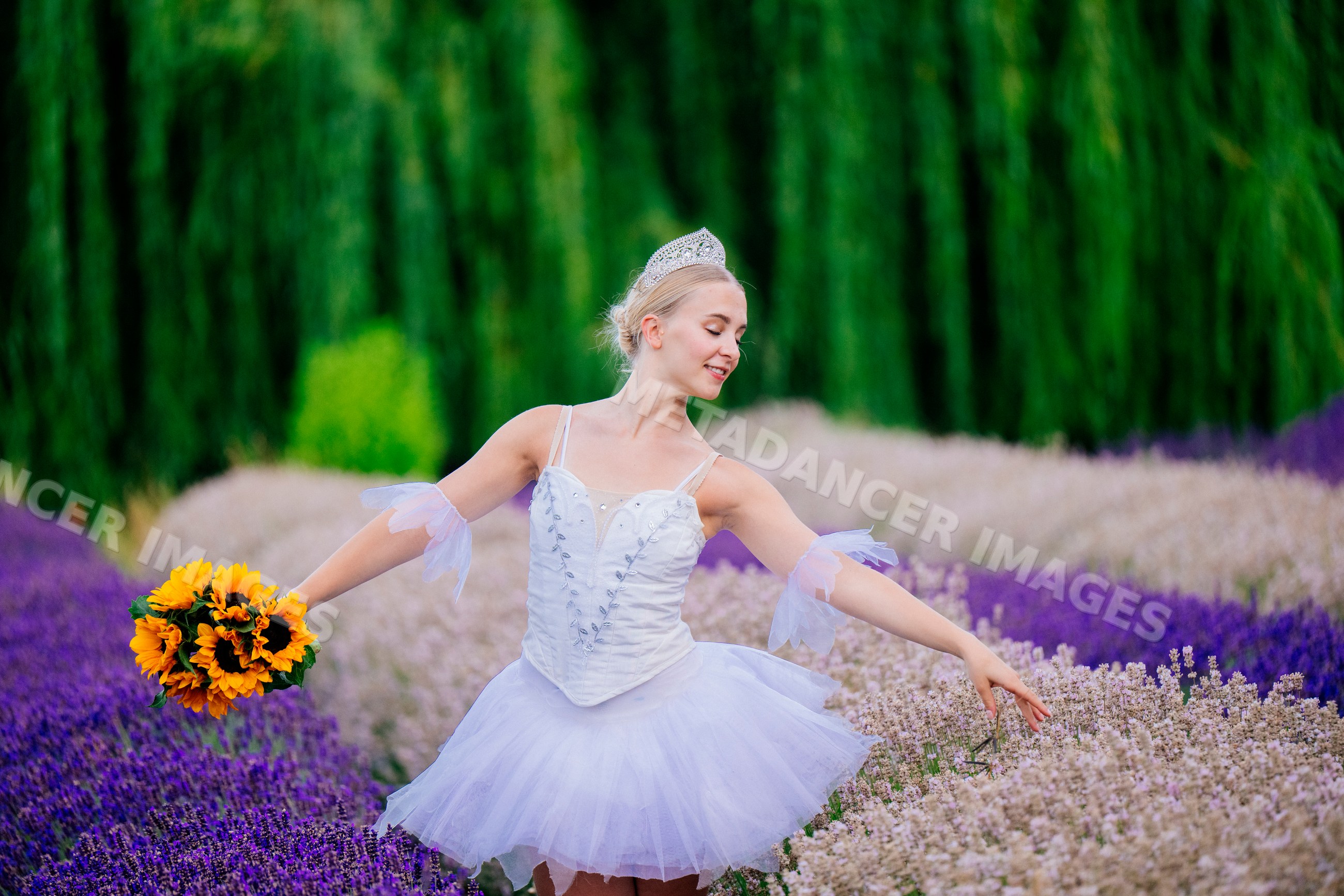 A ballerina dances gracefully in a lavender field in WA, USA