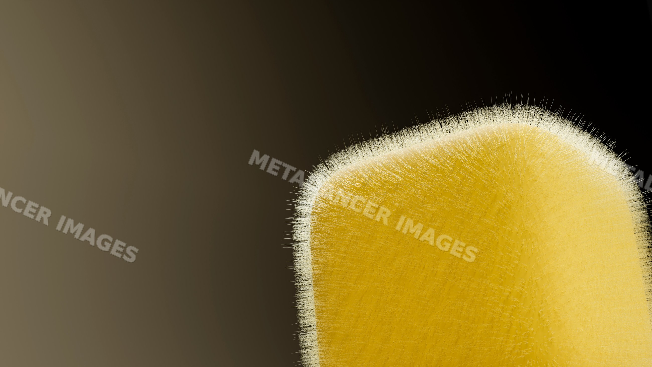 Close-up illustration of yellow mold spores on a surface