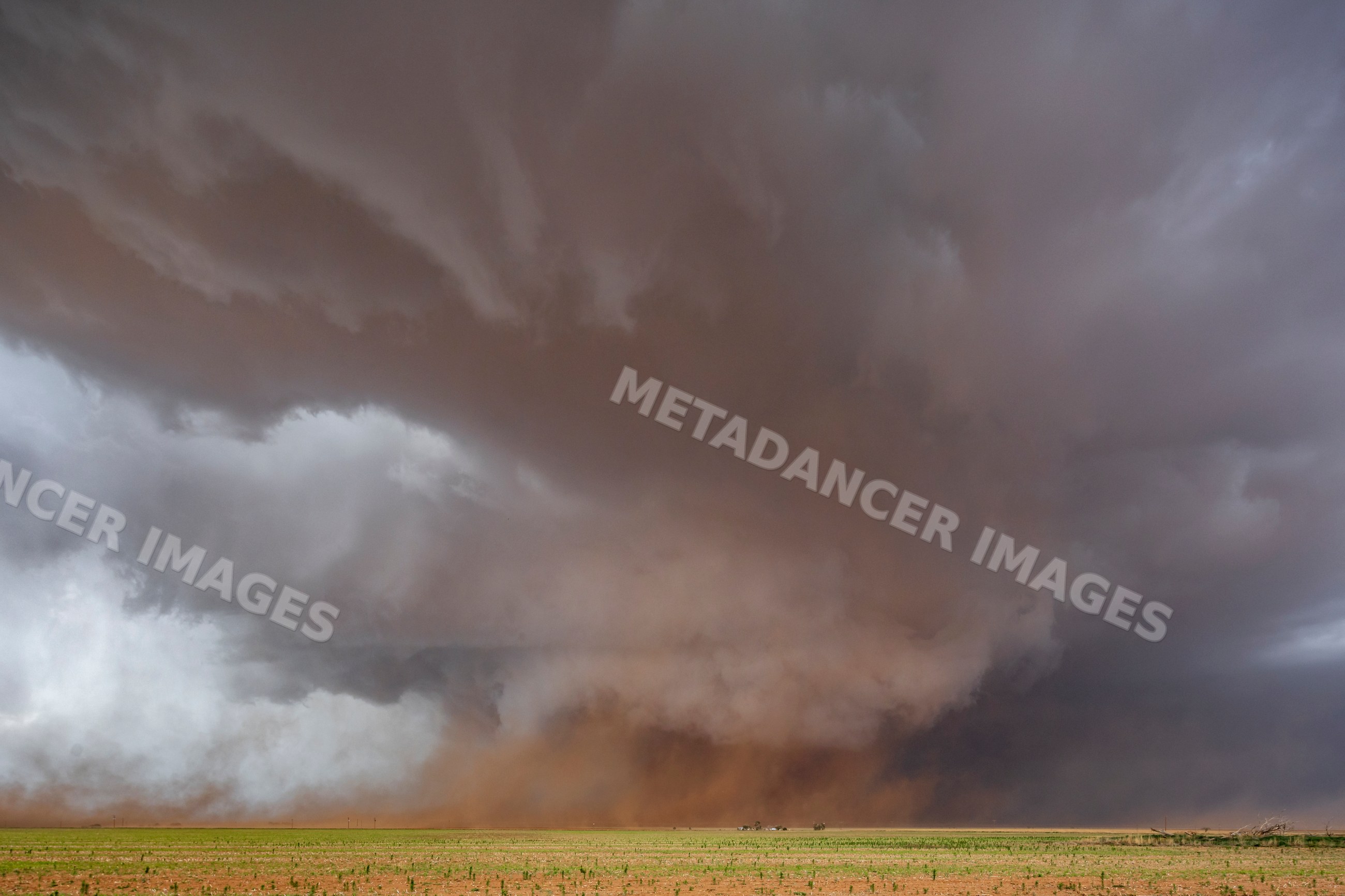 Monster Wedge Tornado over green field in Morton, texas Great Plains