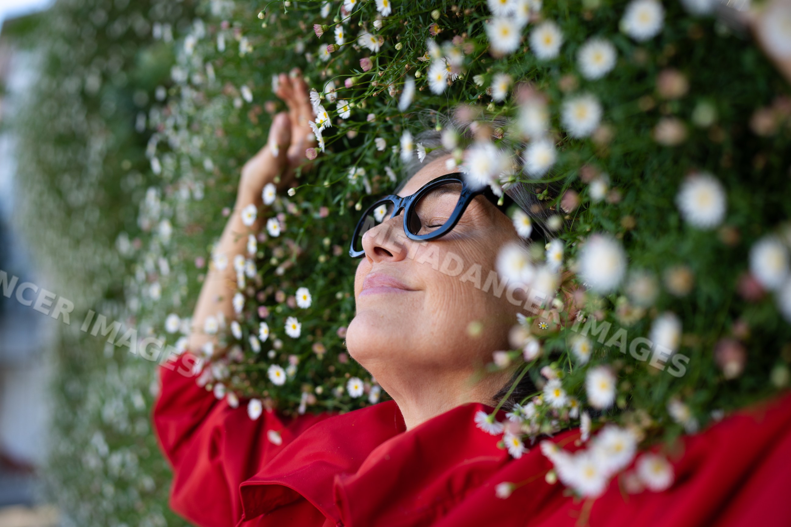 White woman relaxing in flower meadow with daisies