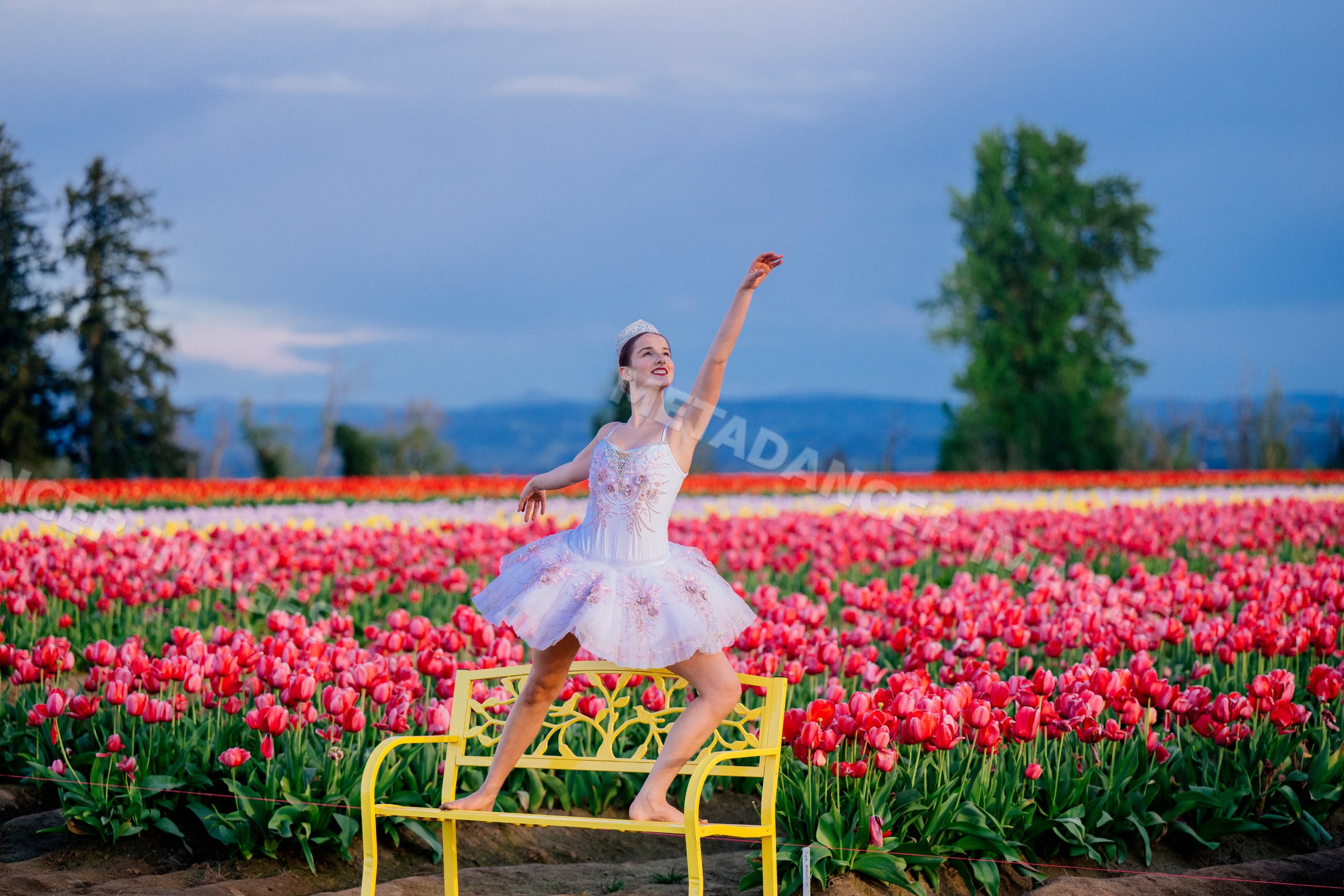 Ballet white dancer posing gracefully on a yellow bench