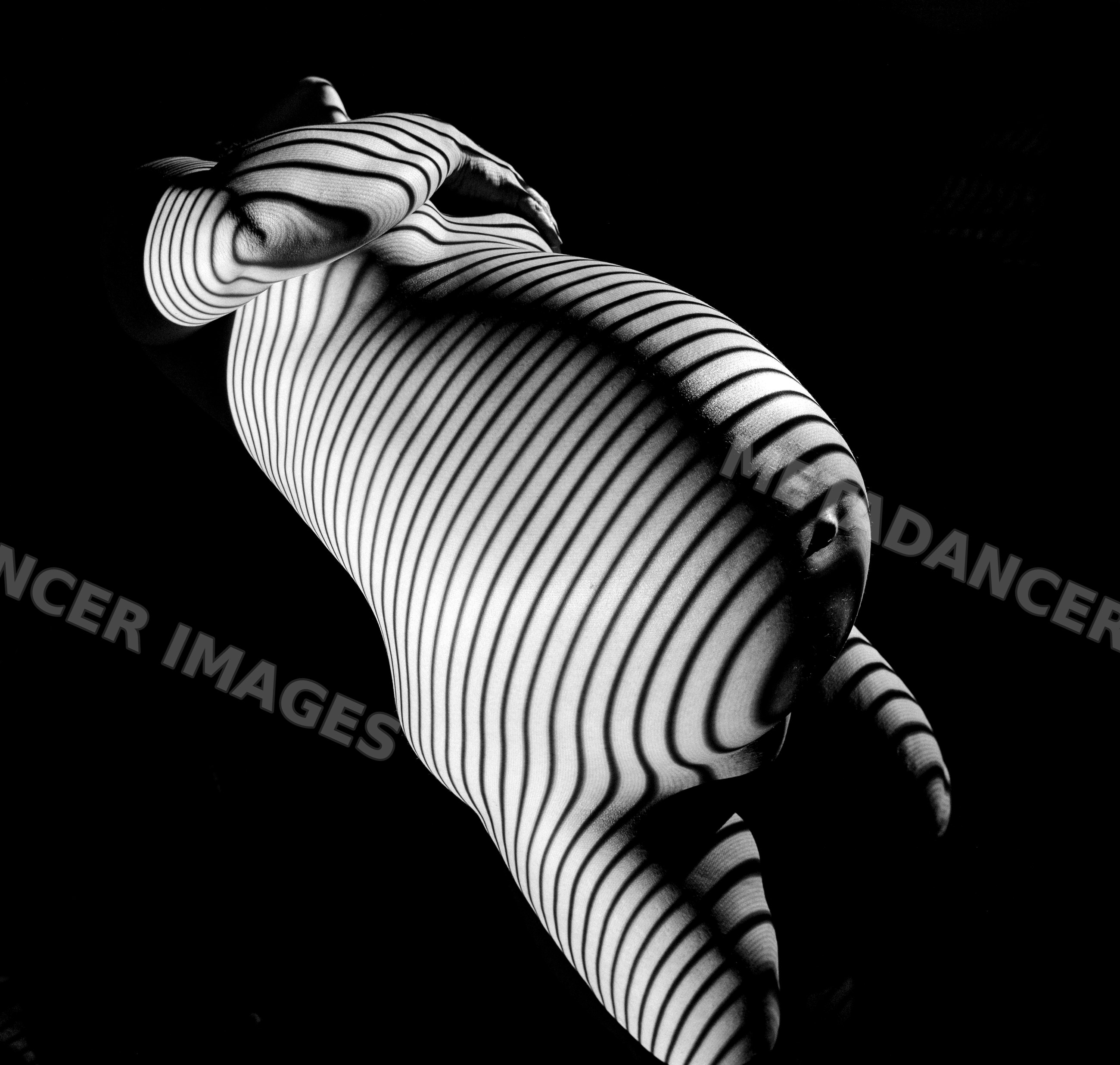 Monochrome image of a pregnant white woman posed nude with striped