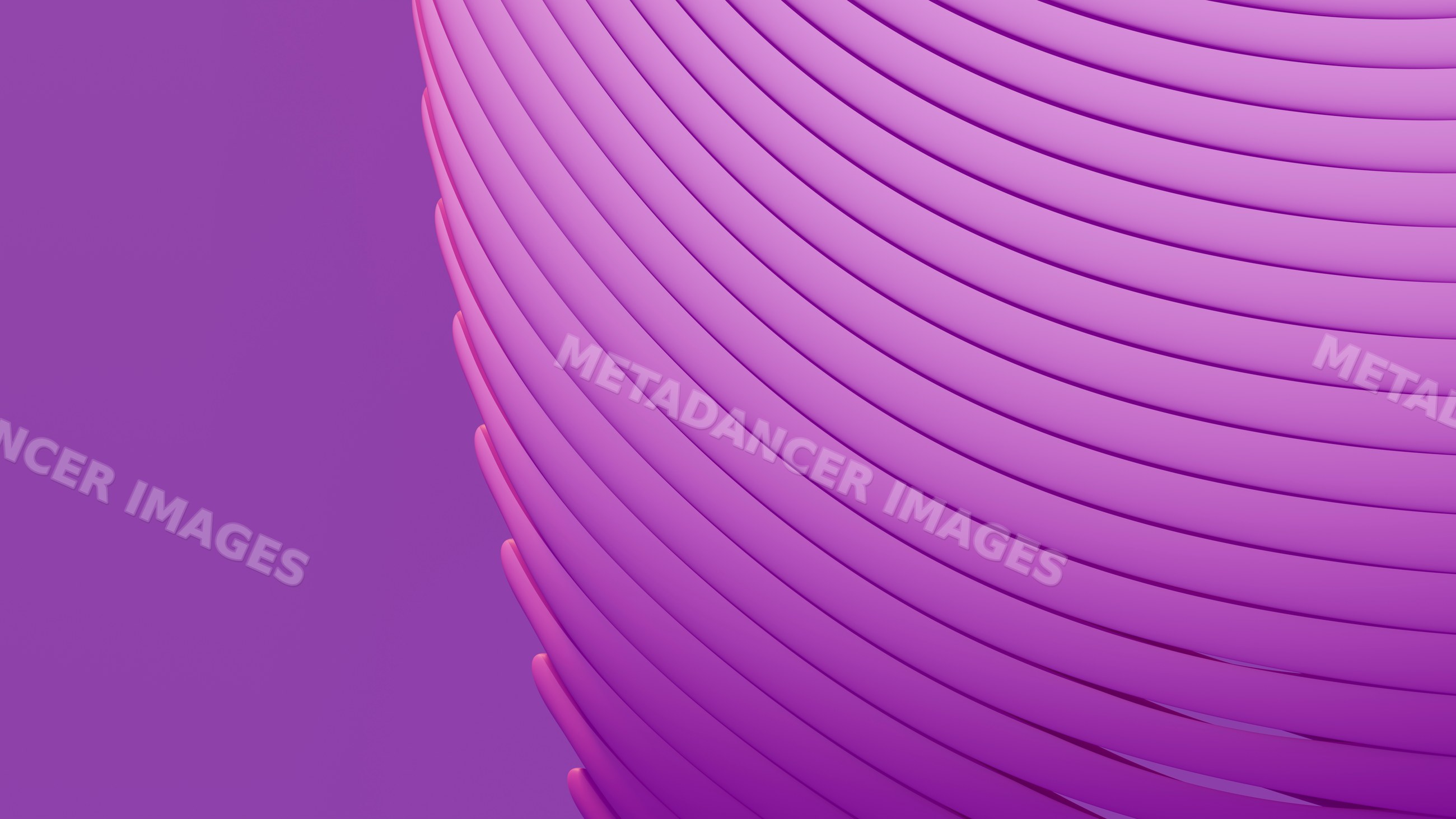 Abstract purple curved lines in wavy 3d pattern
