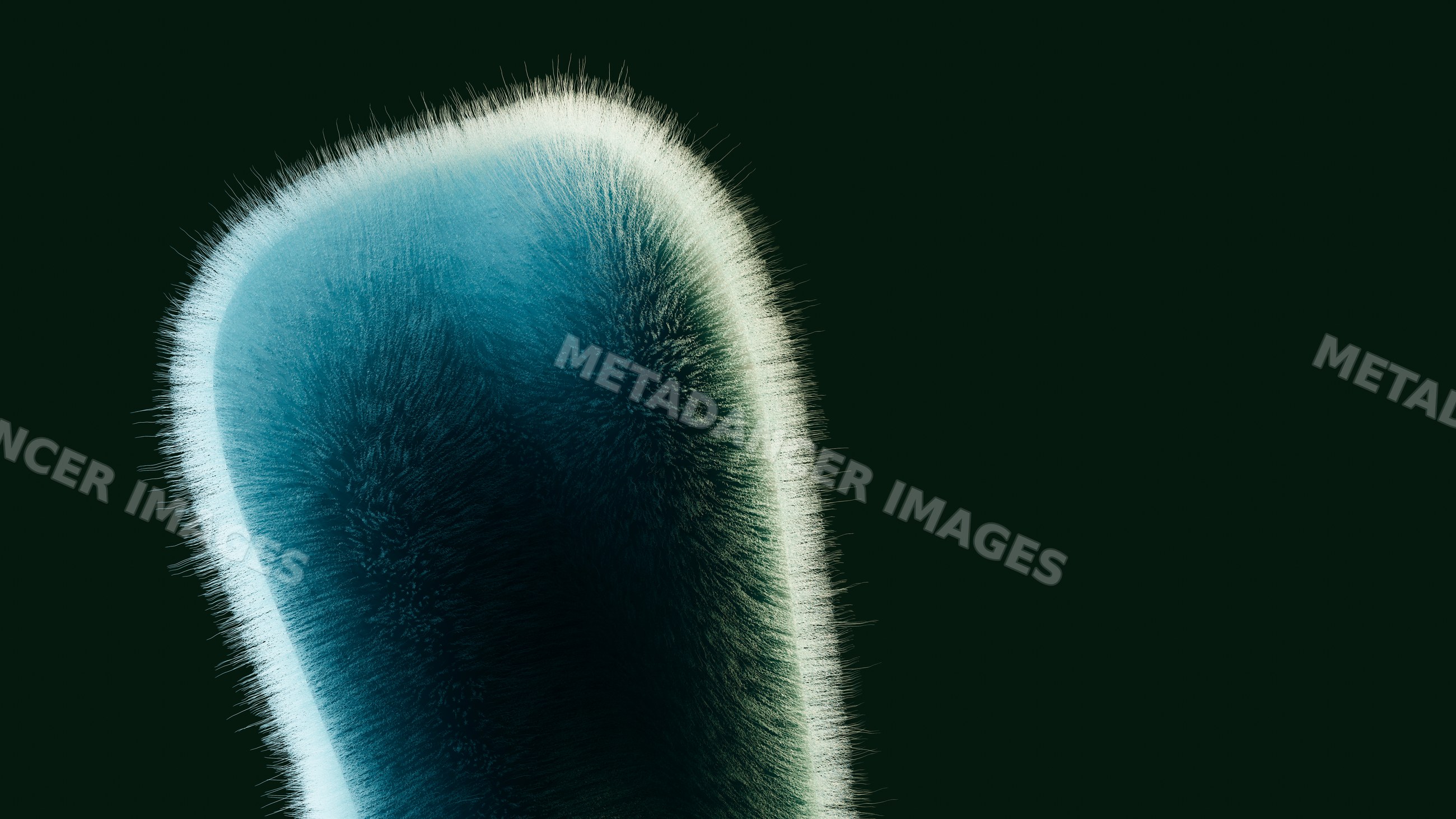 Close-up of blue-green mold colony with filamentous fungal growth