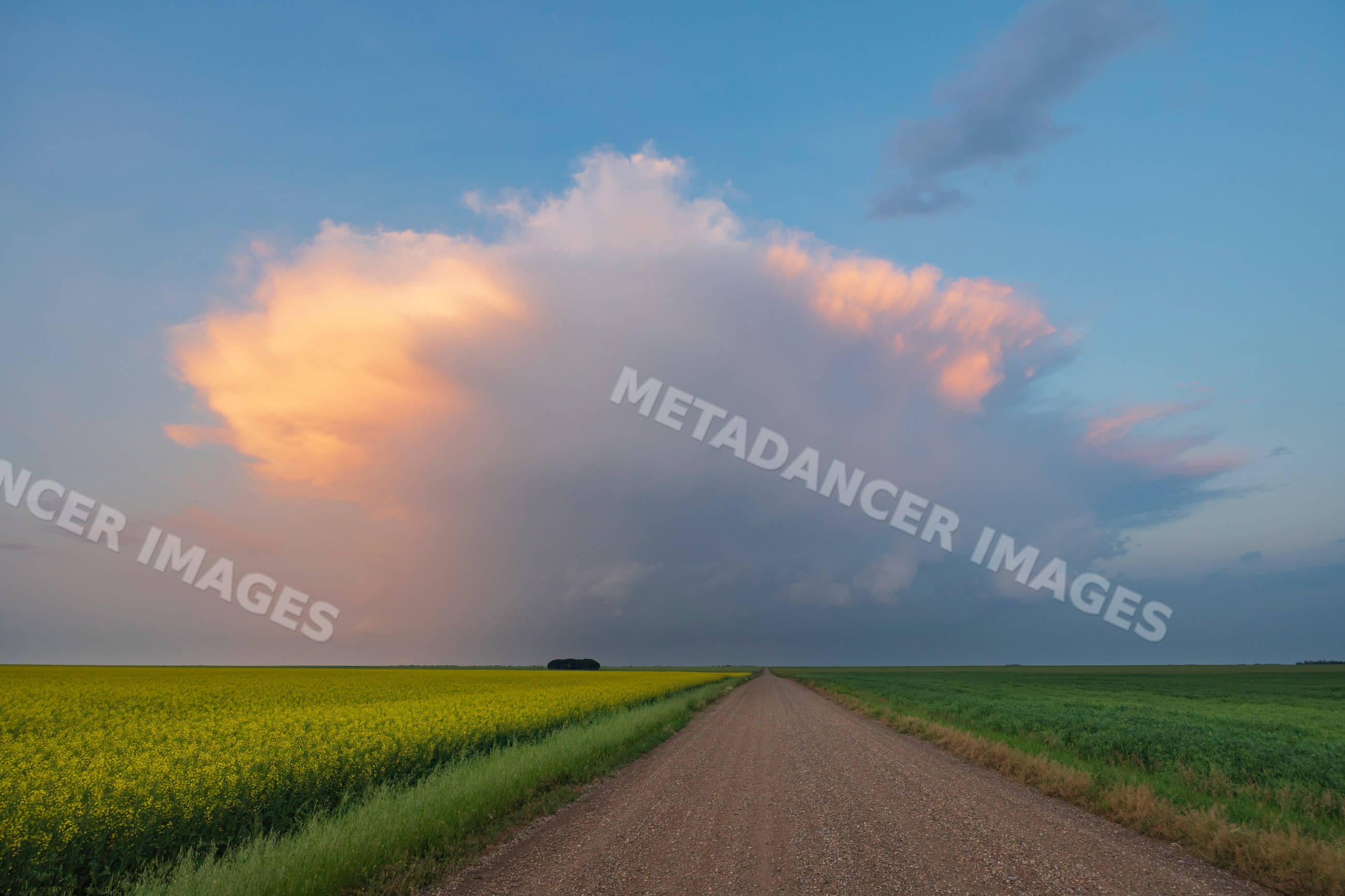 Low Precipitation Supercell cloud over rural fields