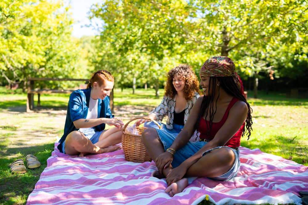 Friends enjoying a sunny picnic on a blanket in a park in Spain