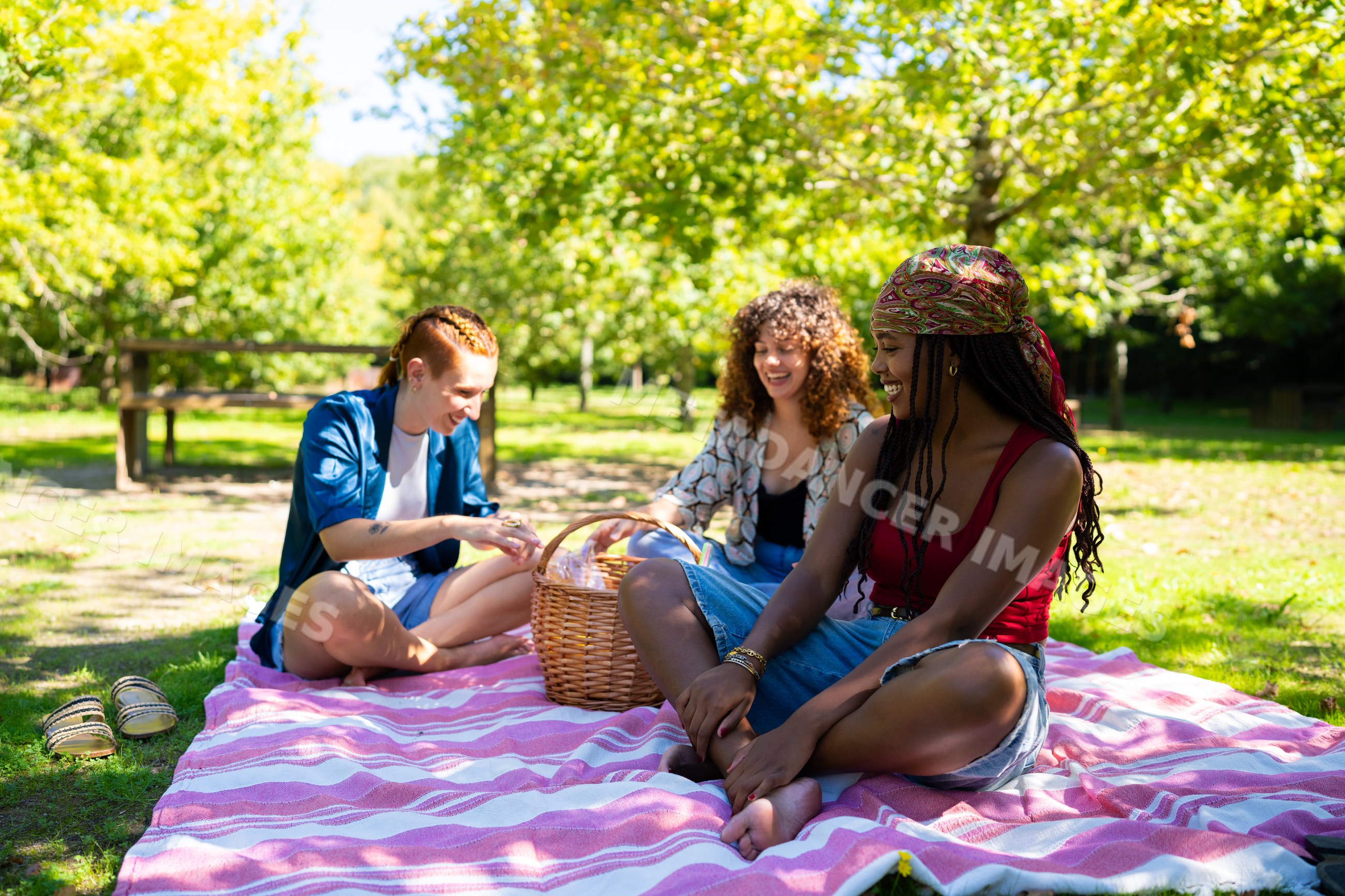 Friends enjoying a sunny picnic on a blanket in a park in Spain