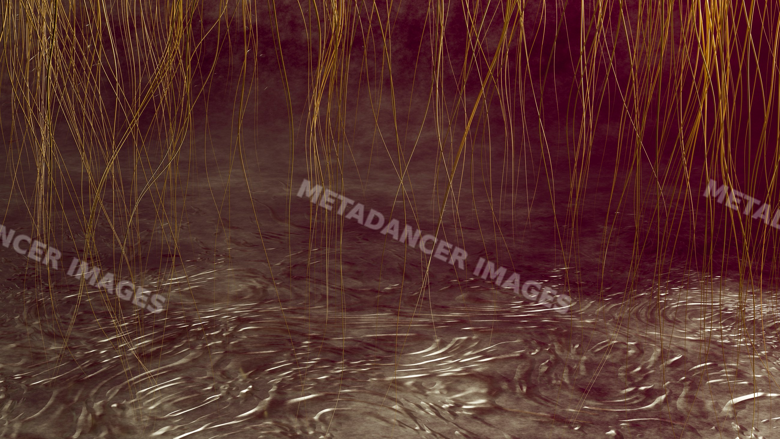 Close-up of wet hair strands and scalp showing moisture and texture
