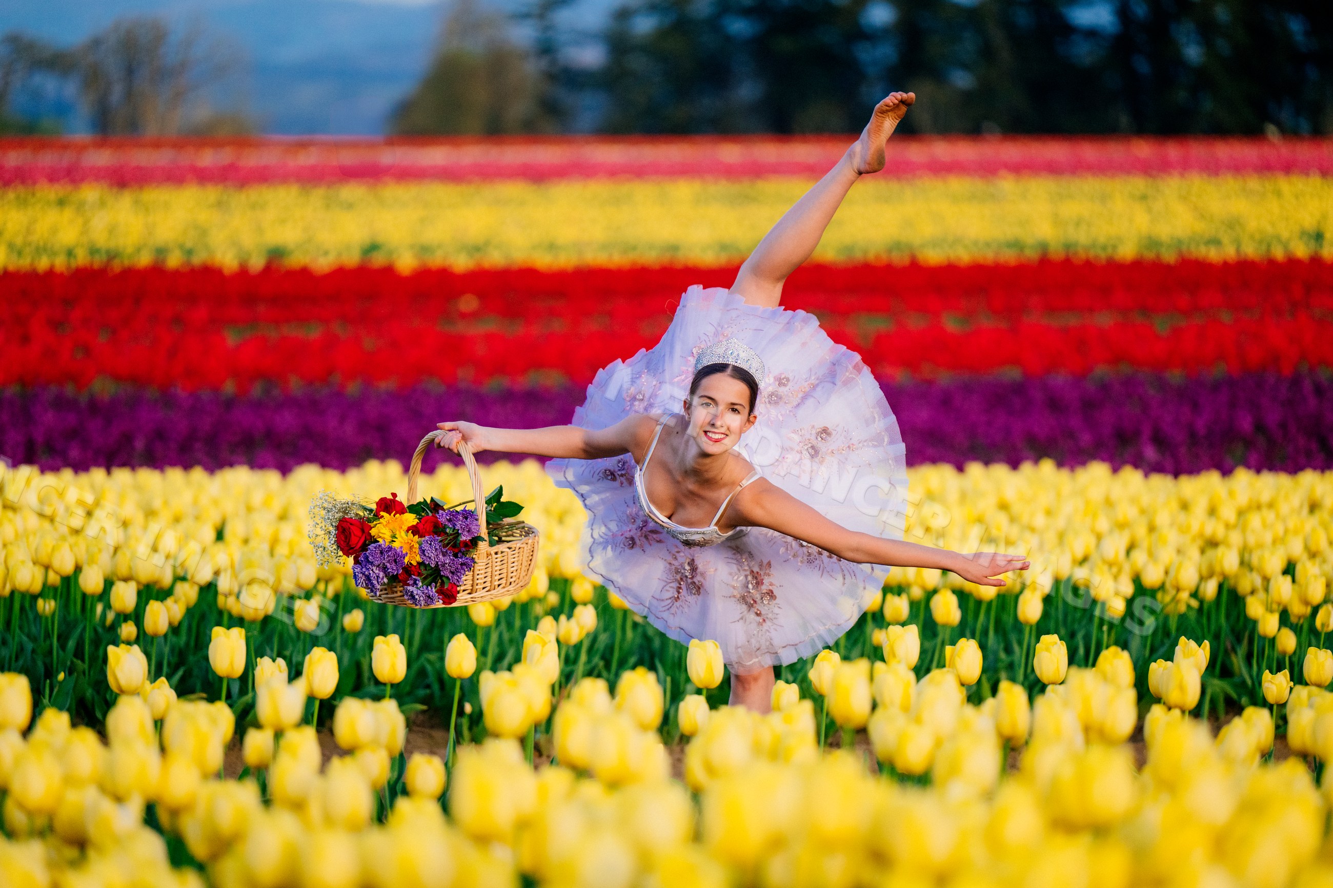 Ballet white dancer poses gracefully