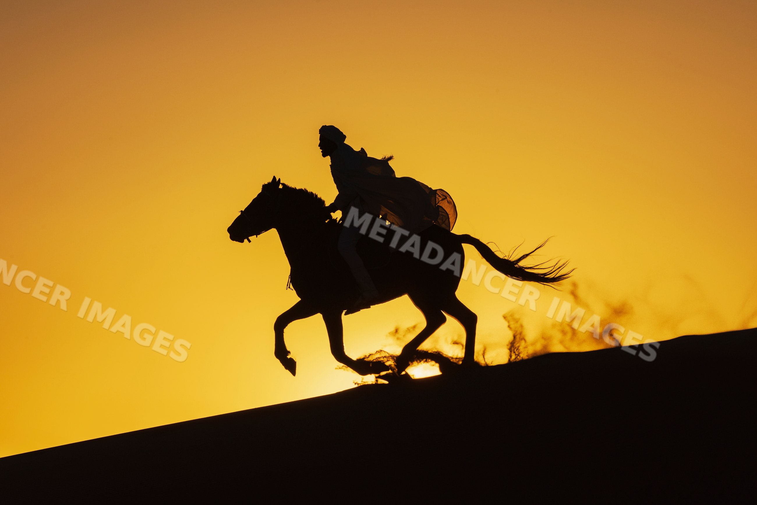 Horse Rider silhouette galloping on Desert dune