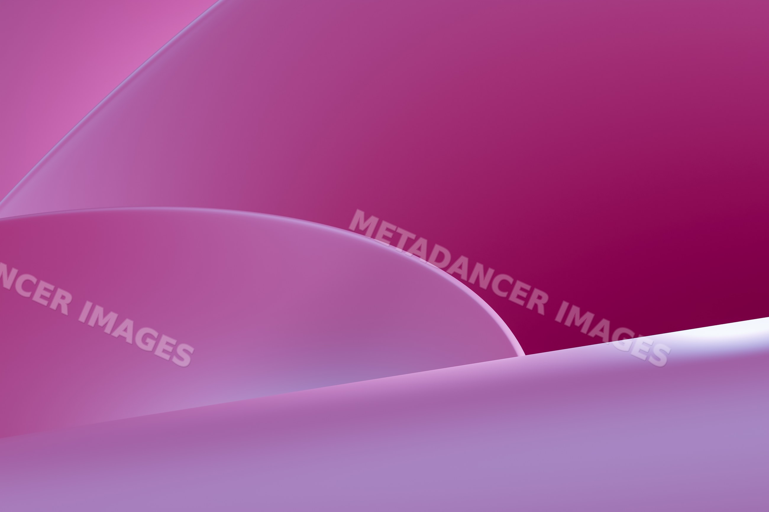 Abstract smooth curved shapes in purple and pink tones