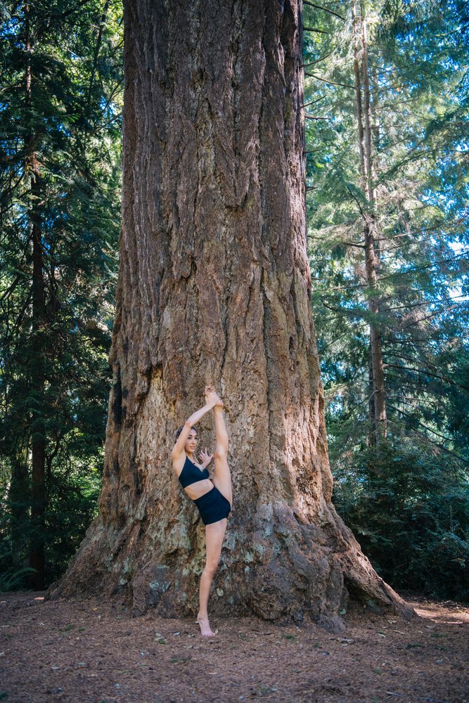 Contortionist stretching next to a large tree trunk in a forest