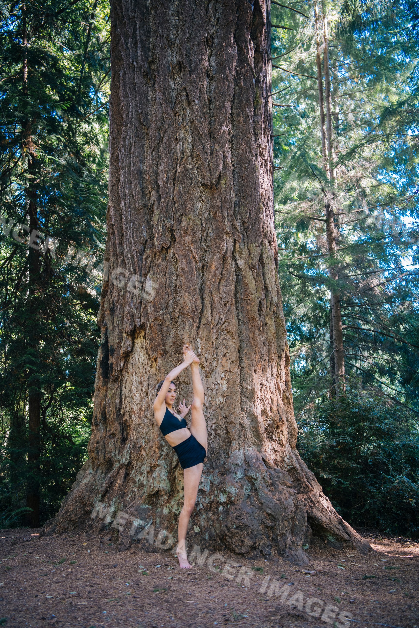 Contortionist stretching next to a large tree trunk in a forest