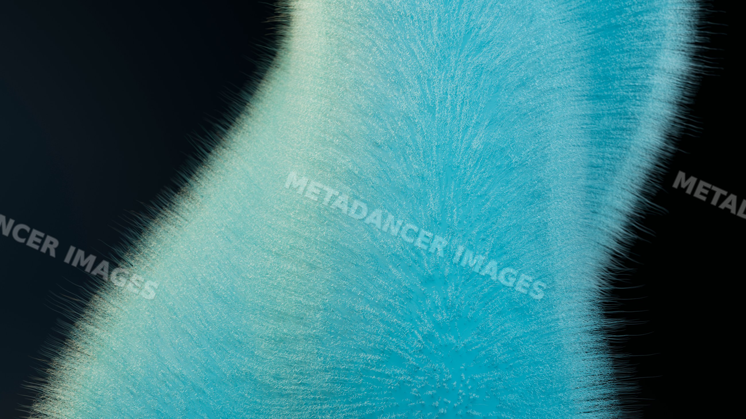 Close-up of blue feather texture with fine strands