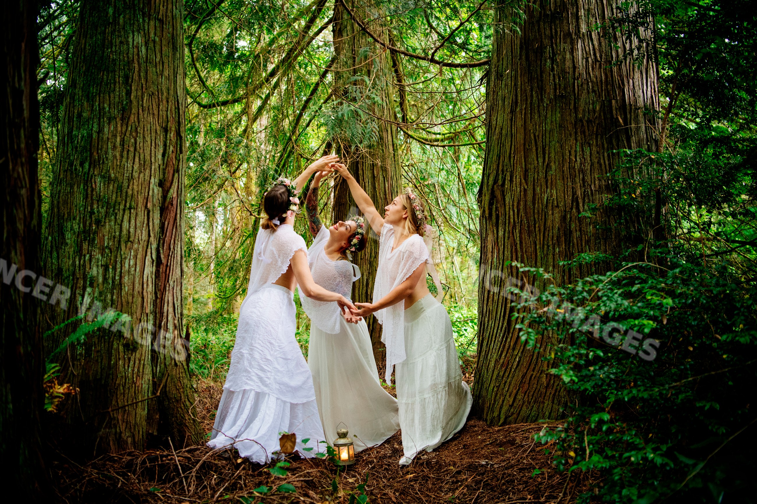 Three women dancing in white dresses among large forest trees