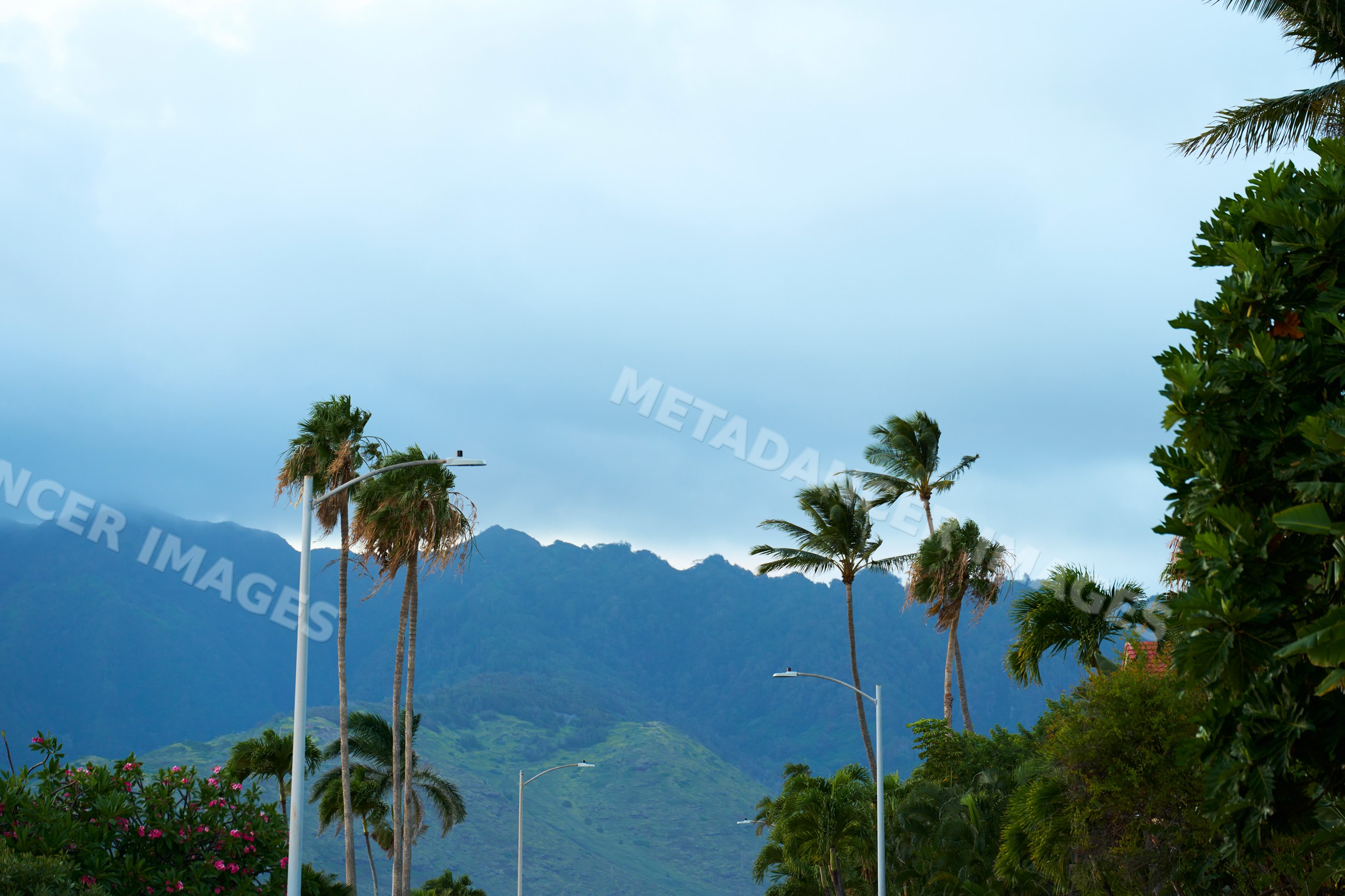 Palm trees and mountains under cloudy sky in Oahu, Hawaii, USA