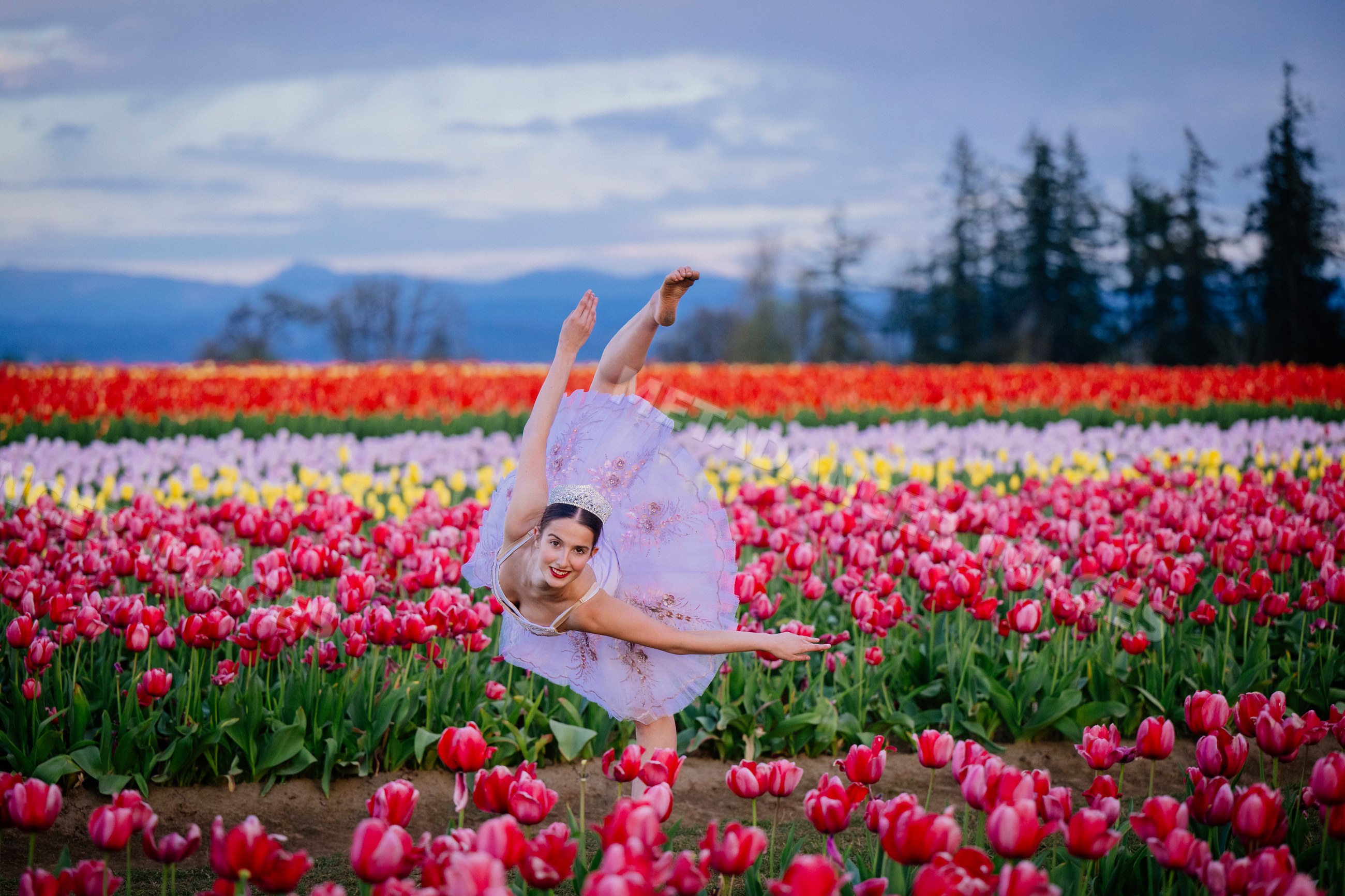 Ballet white dancer performing elegant pose in colorful tulip field