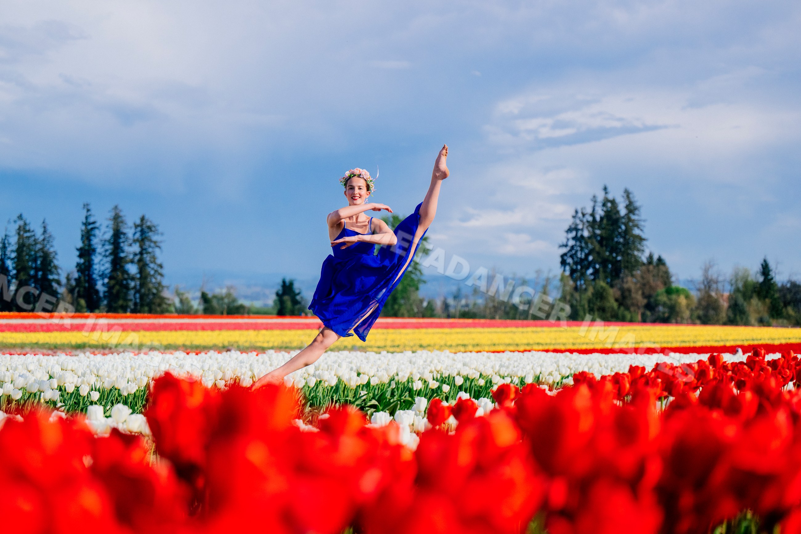 Ballet white dancer leaping in tulip field