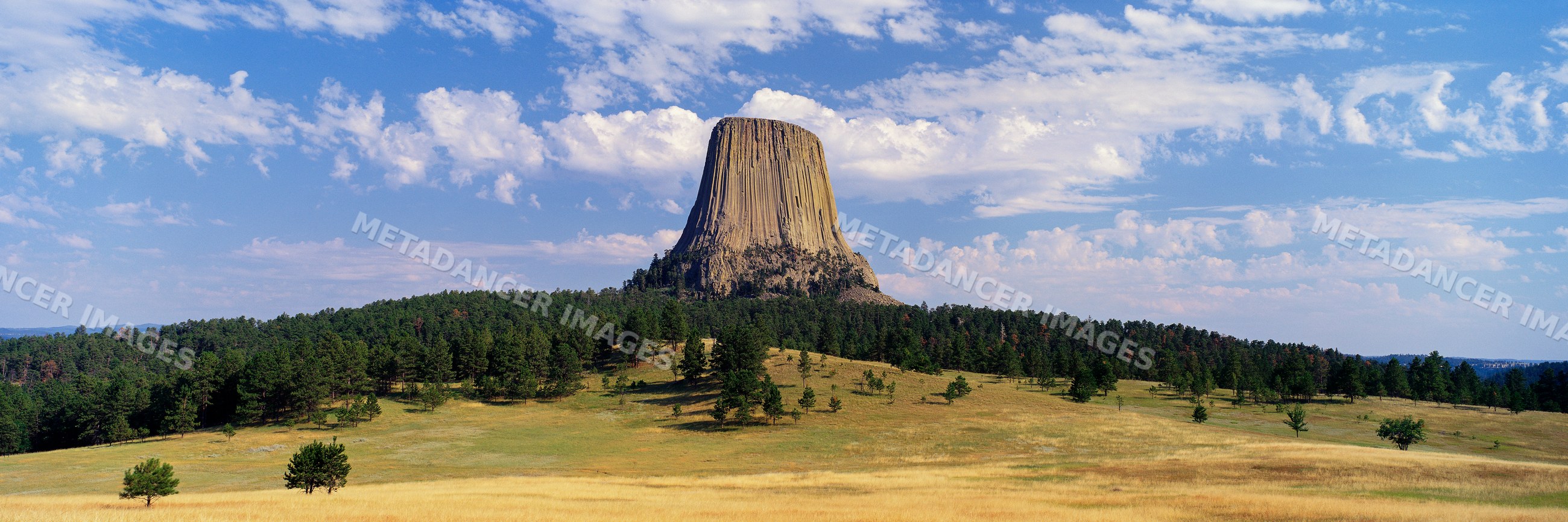 Devil's tower monolithic rock formation in wyoming grassland landscape