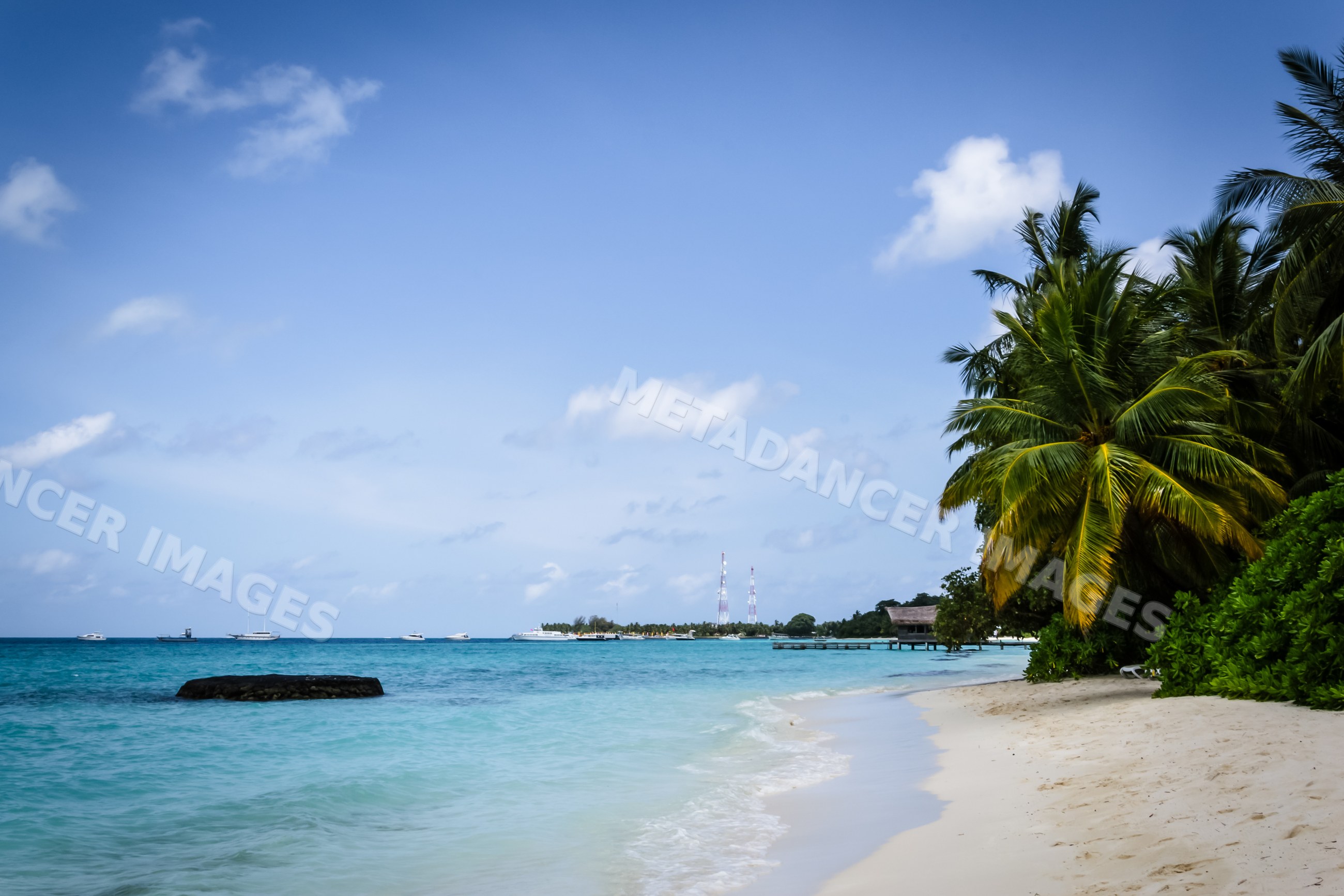 Tropical beach with turquoise ocean and palm trees in a beach