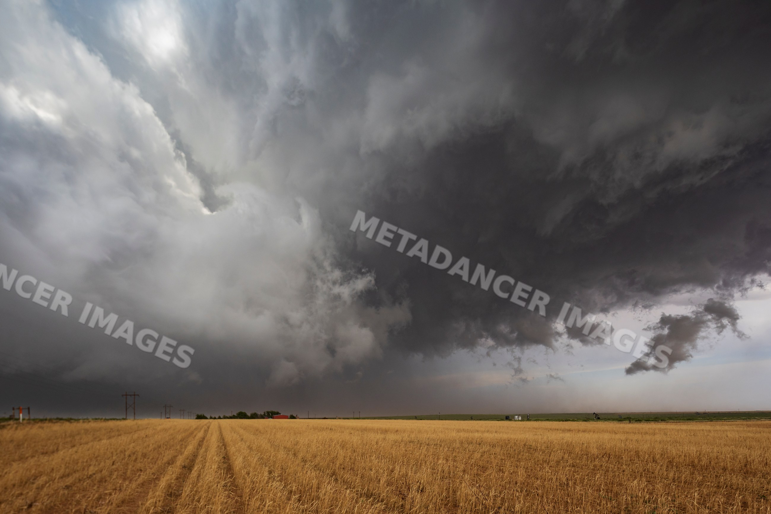 Supercell storm clouds over wheat field in levelland, texas