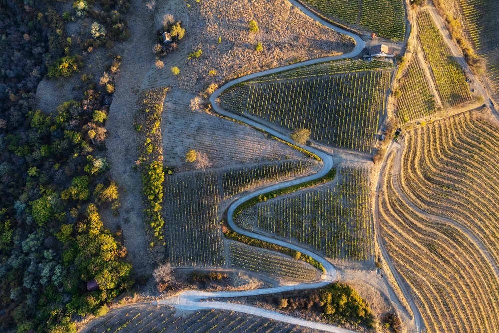 Winding road through Vineyards near tokaj Hungary
