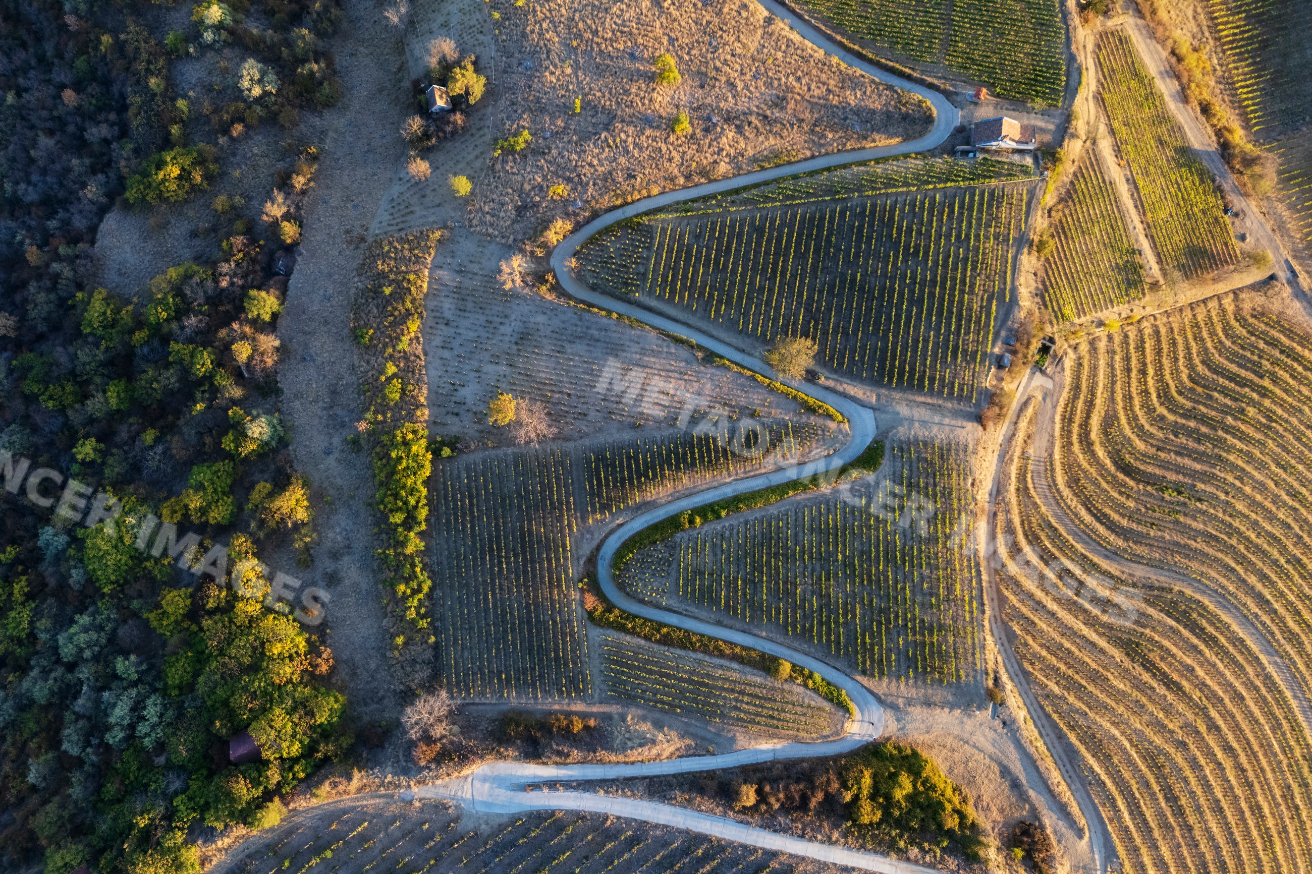 Winding road through Vineyards near tokaj Hungary