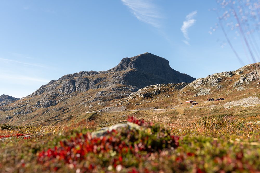Rocky mountain landscape with rural cabins and autumn vegetation
