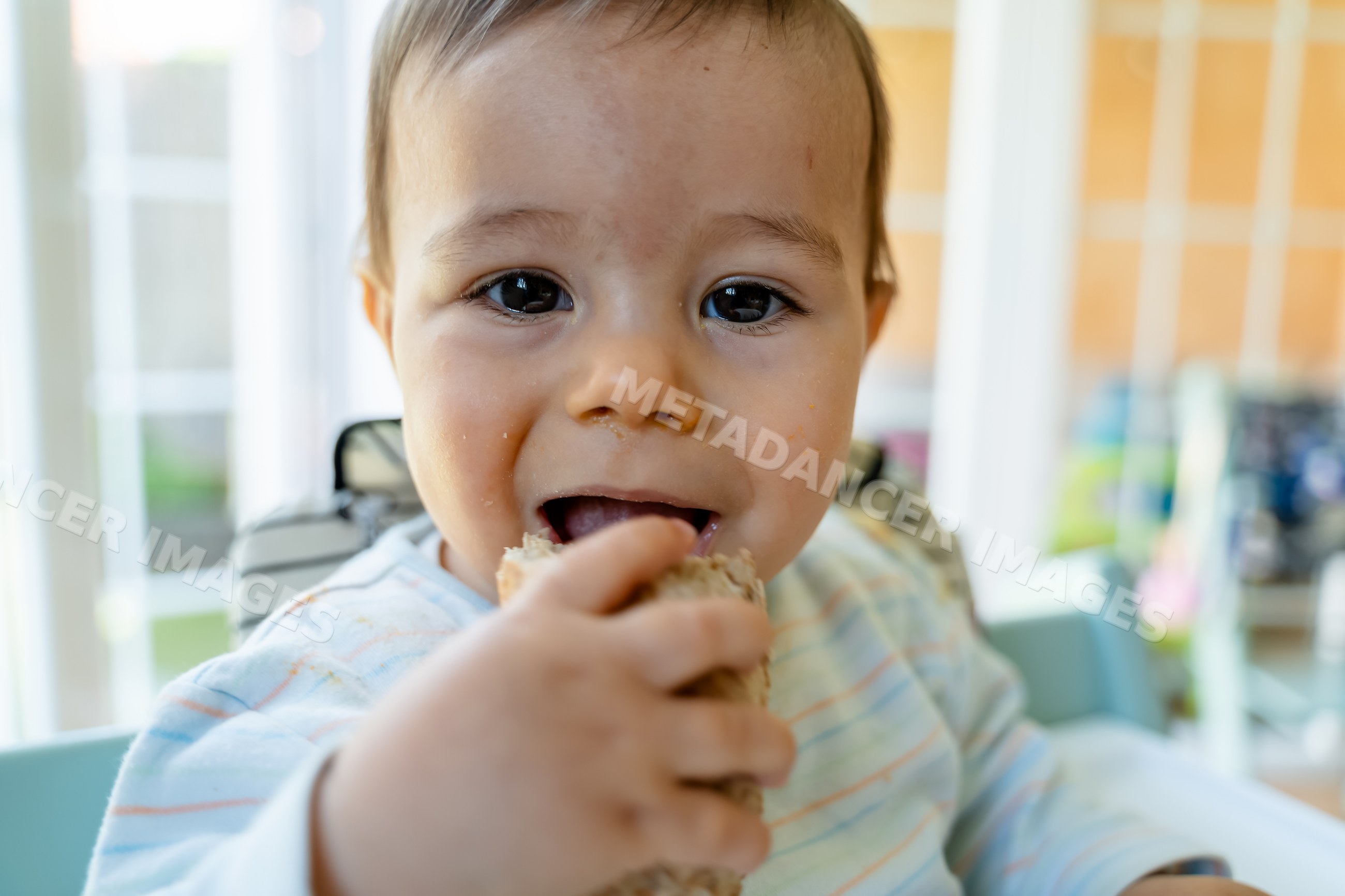 Baby eating bread in high chair indoors