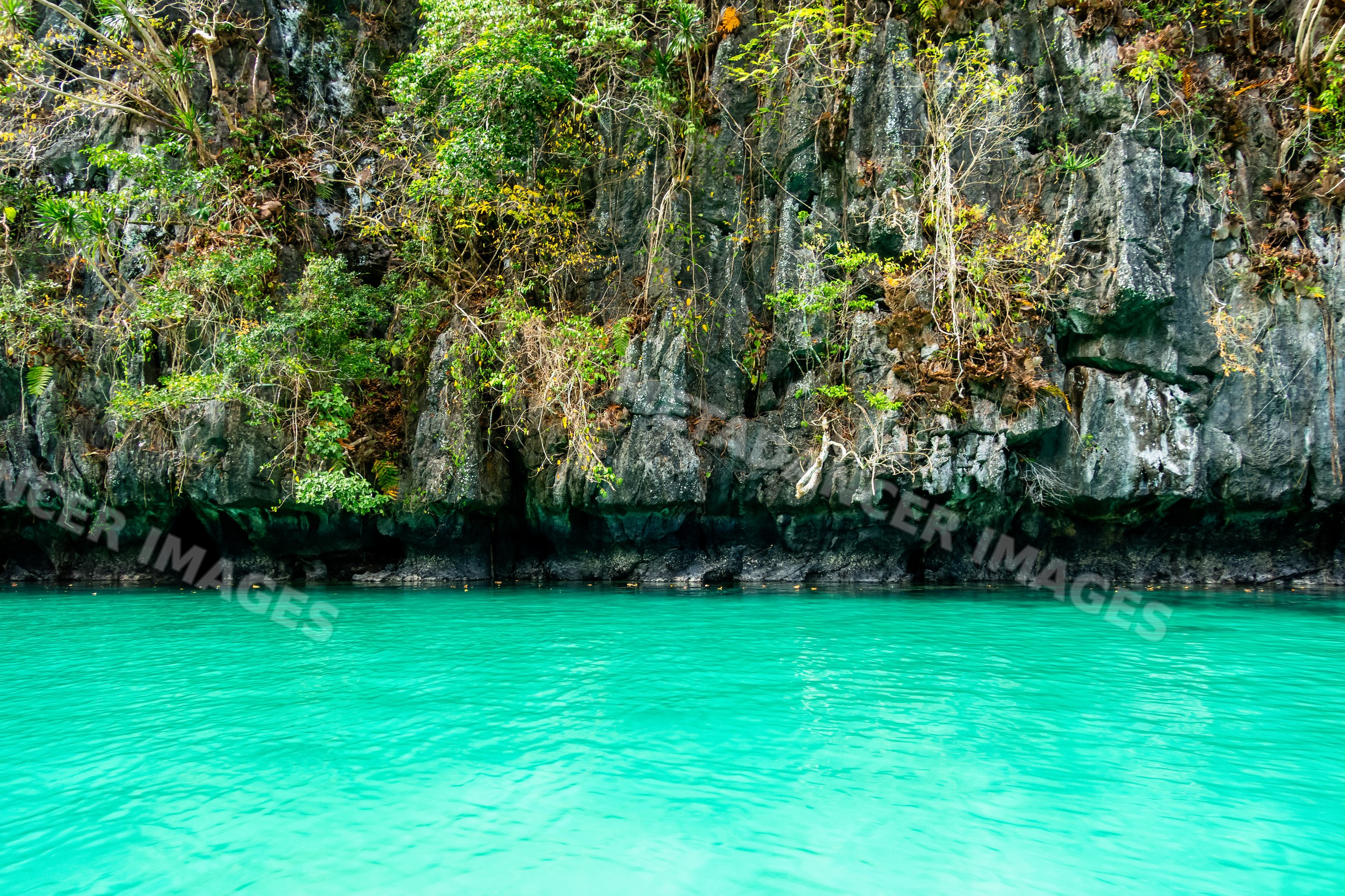 Turquoise water by rocky cliff with tropical plants