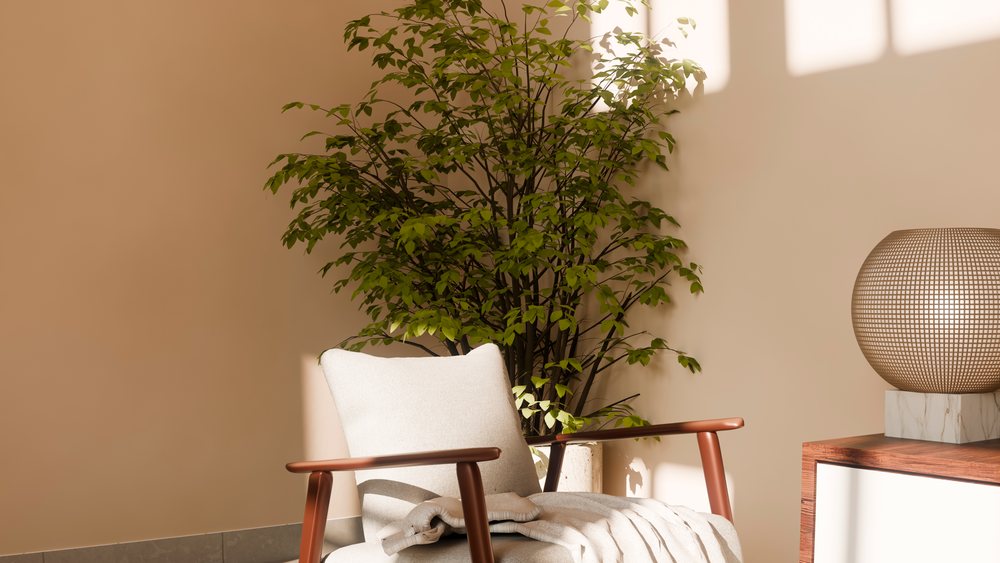 Armchair with pillow and blanket