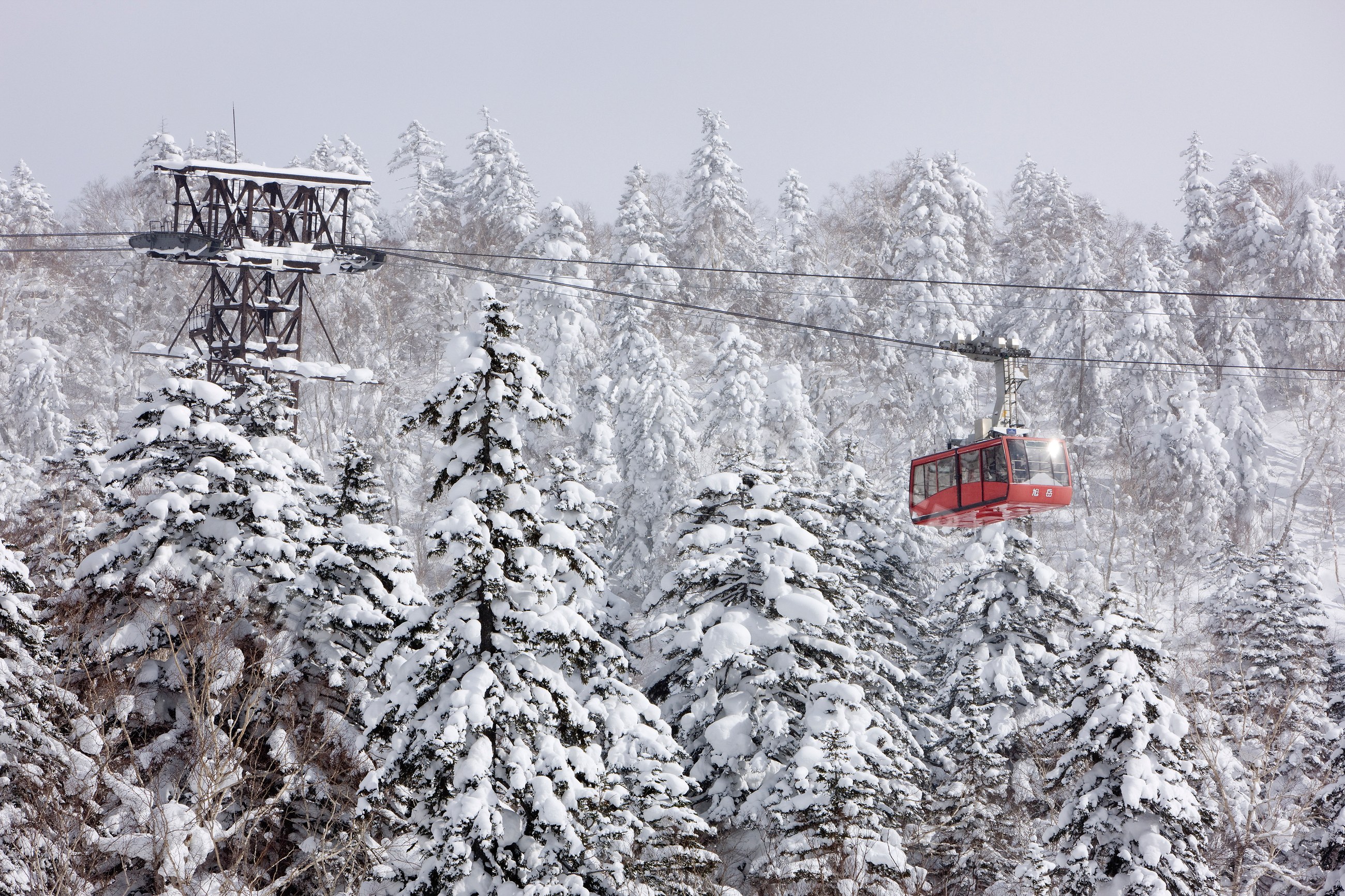 Red cable car ski lift over snowy forest japan