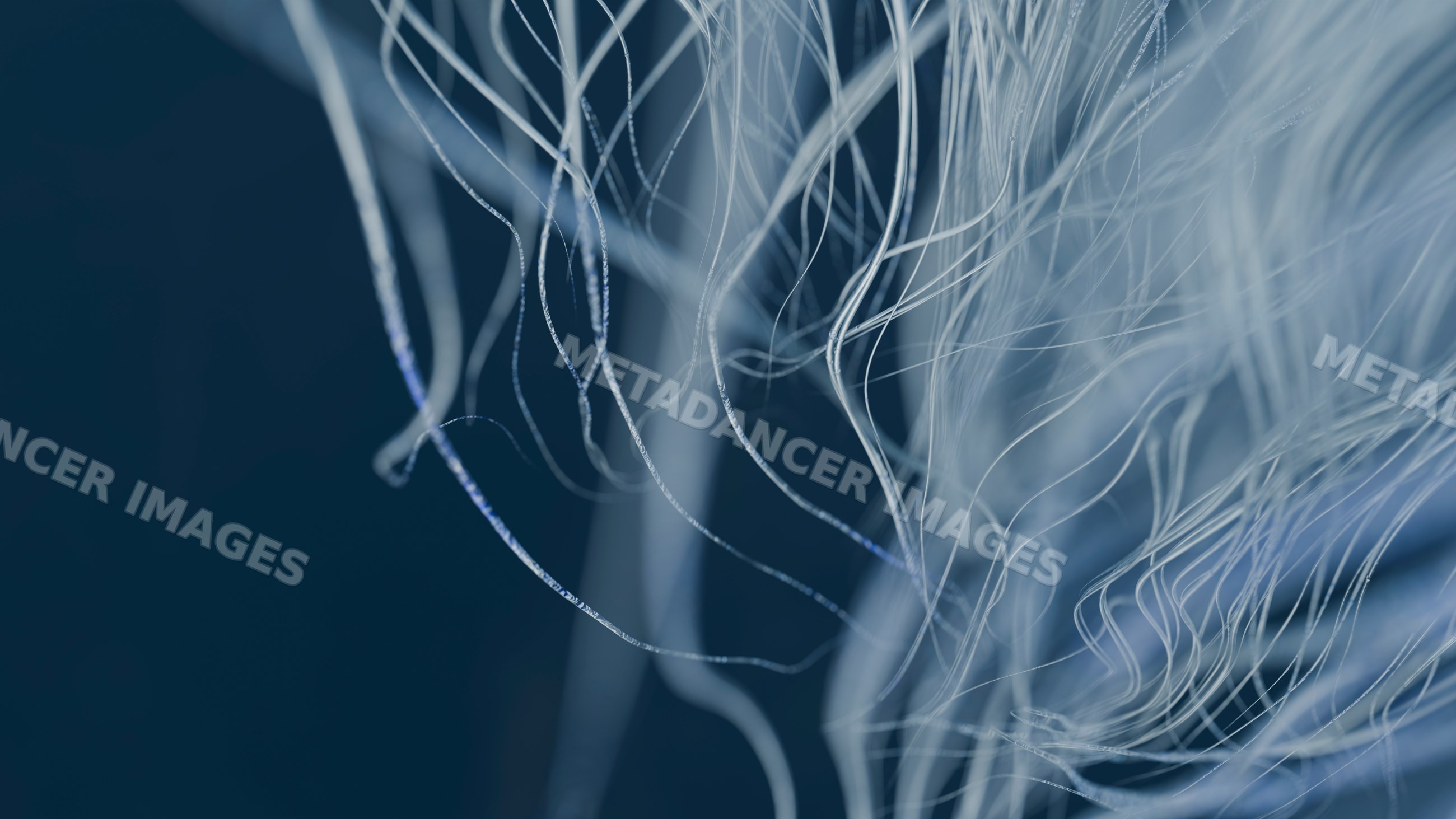 White fine intertwined fibers against a dark blue background