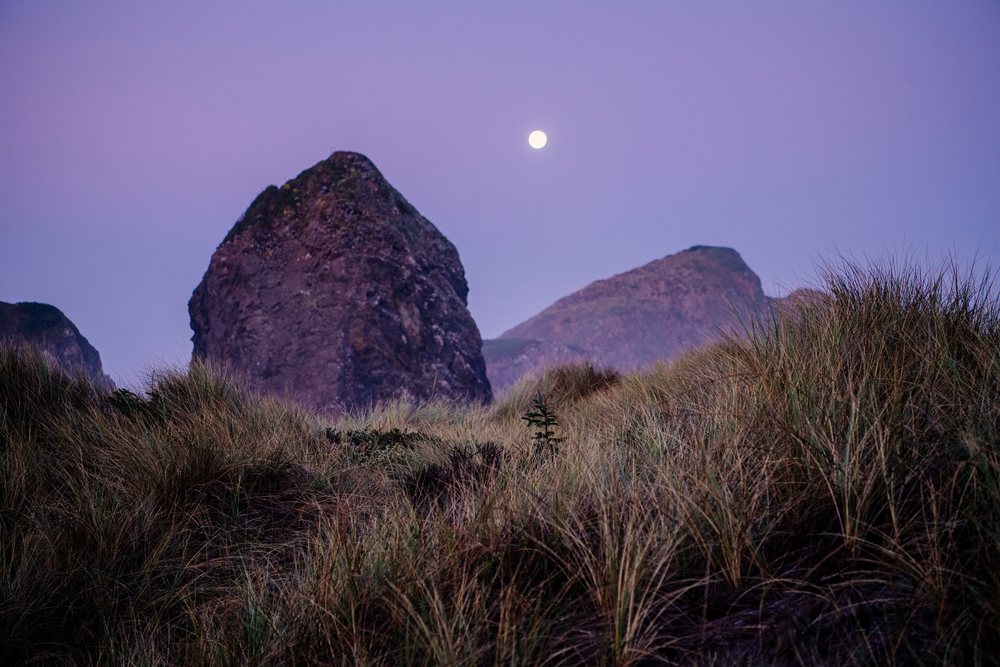 Moon over coastal rock formations and dune grass in Oregon at twilight