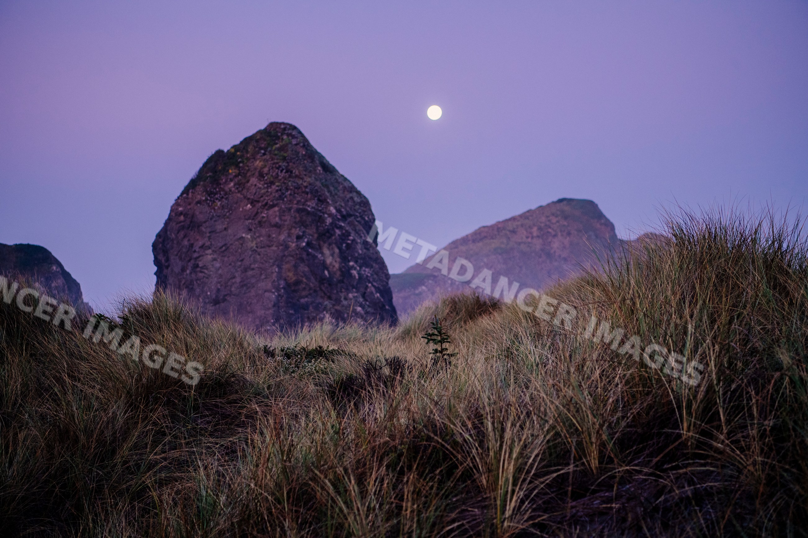 Moon over coastal rock formations and dune grass in Oregon at twilight