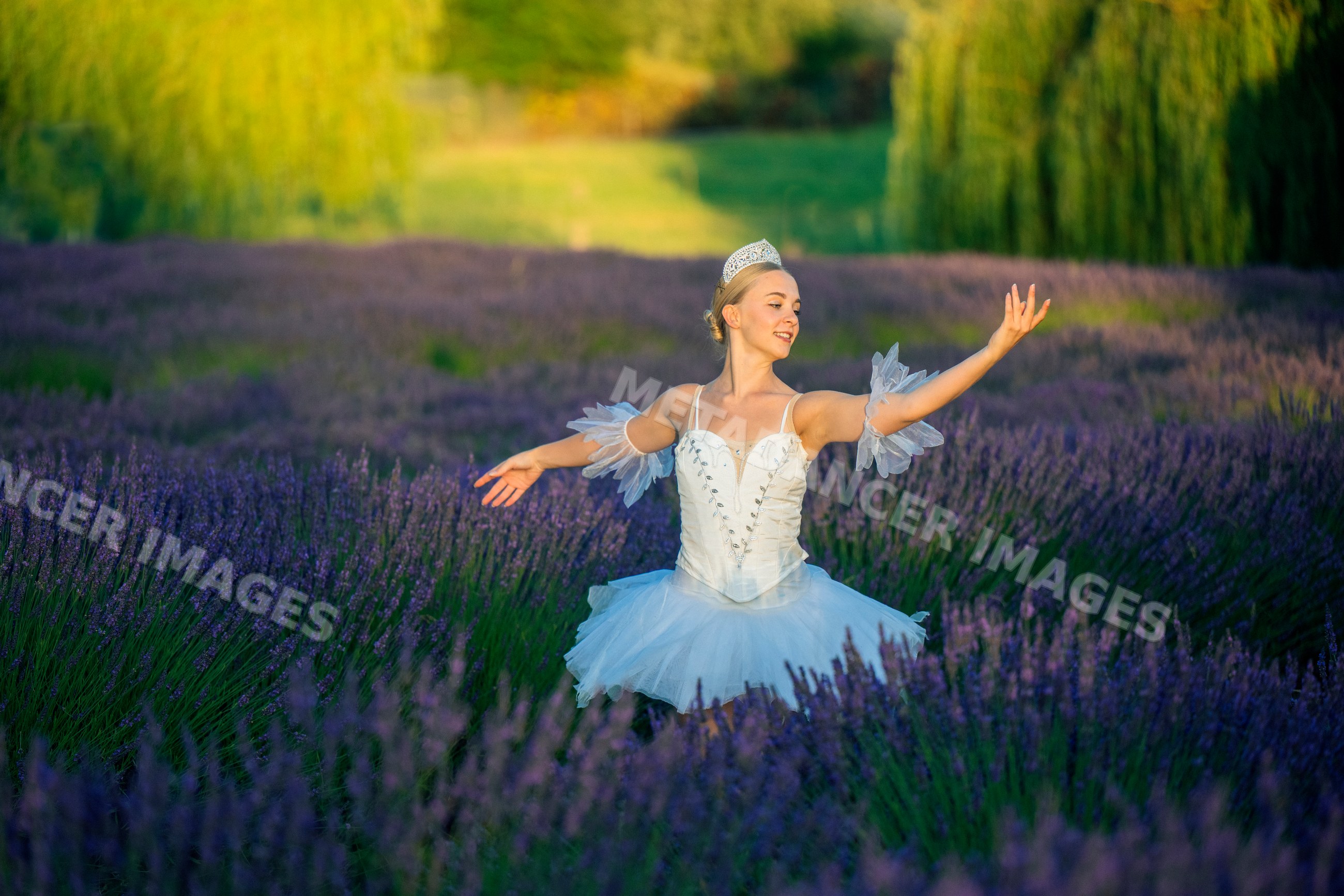 A ballet white dancer poses gracefully in a lavender field in WA, USA