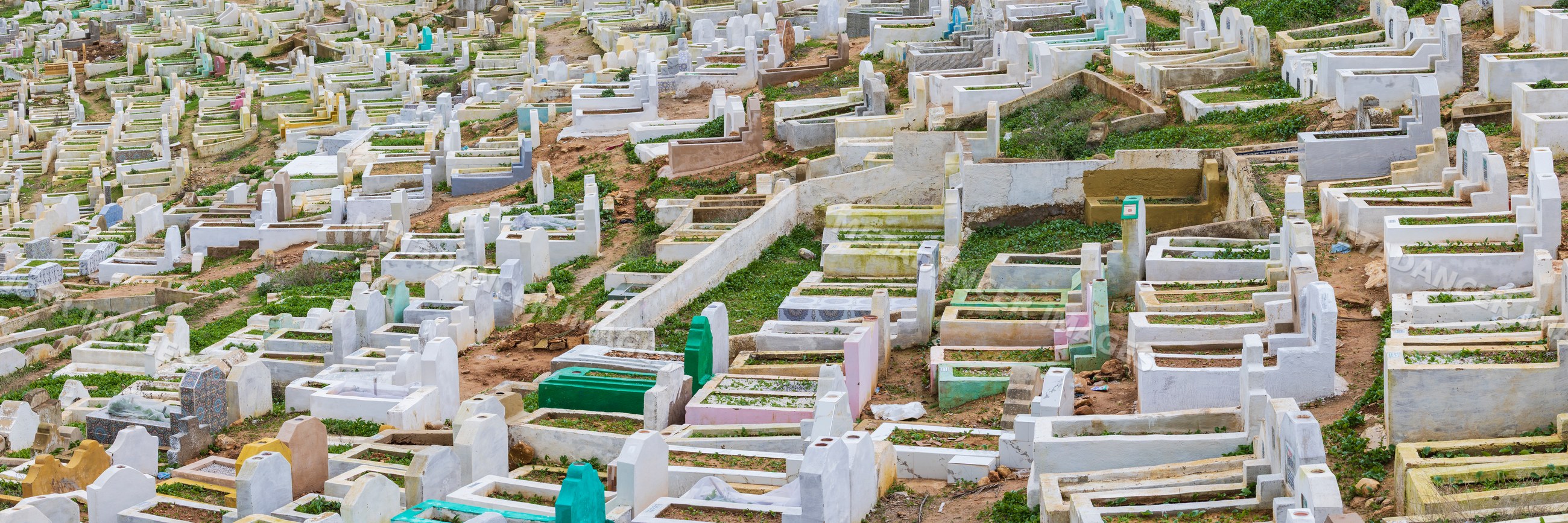 Moslem cemetery near the Marinid Tombs in fes, Morocco