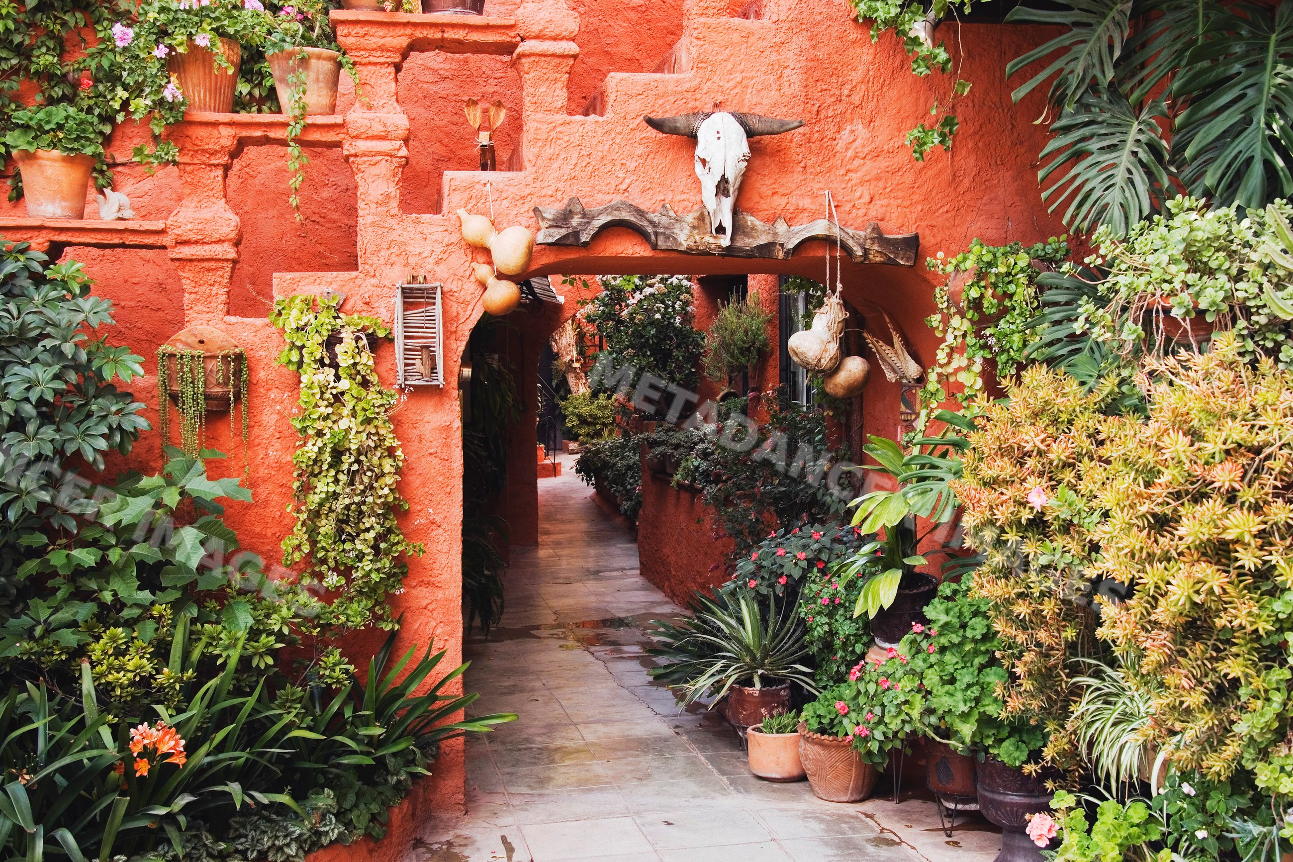 Courtyard passage with red walls and green plants mexico