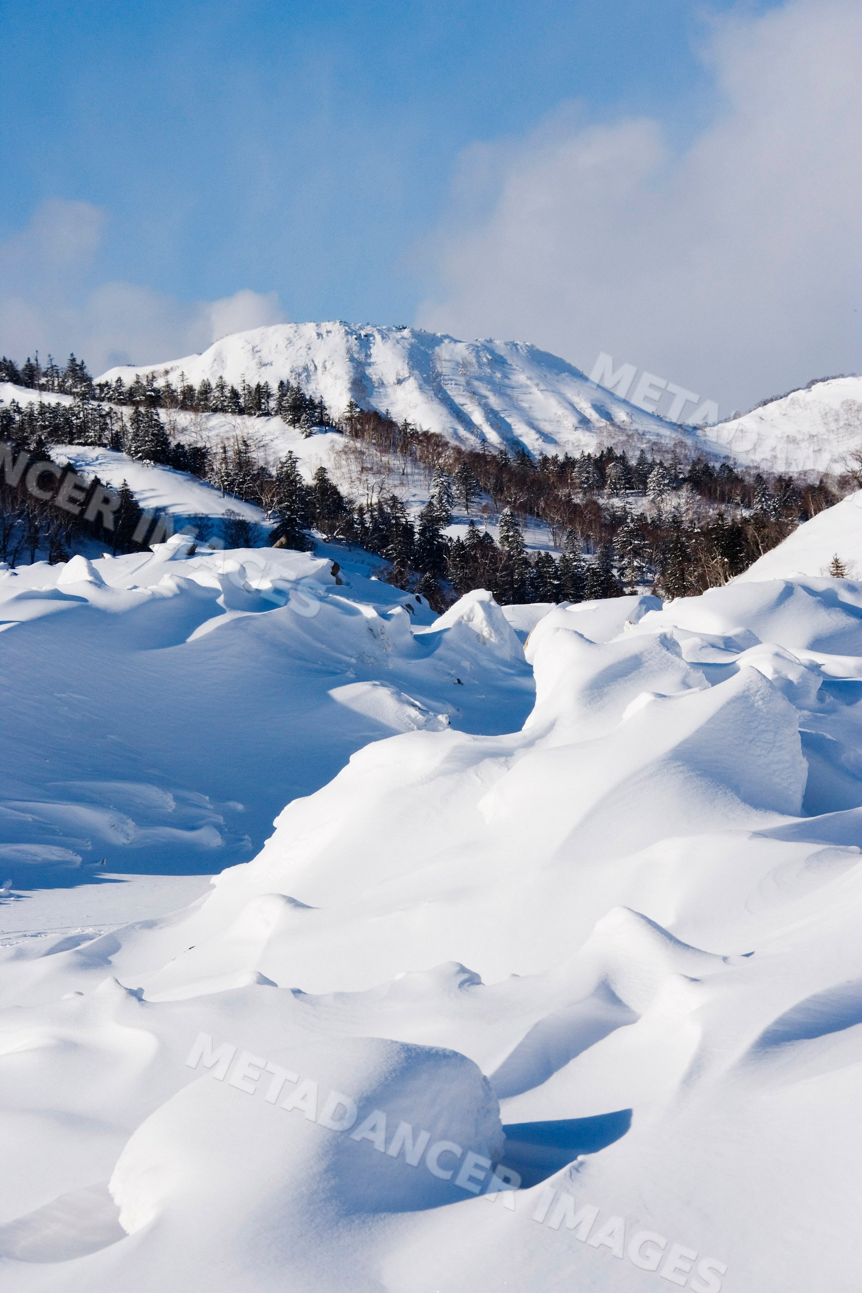 Snow-covered mountain and forest landscape, hokkaido