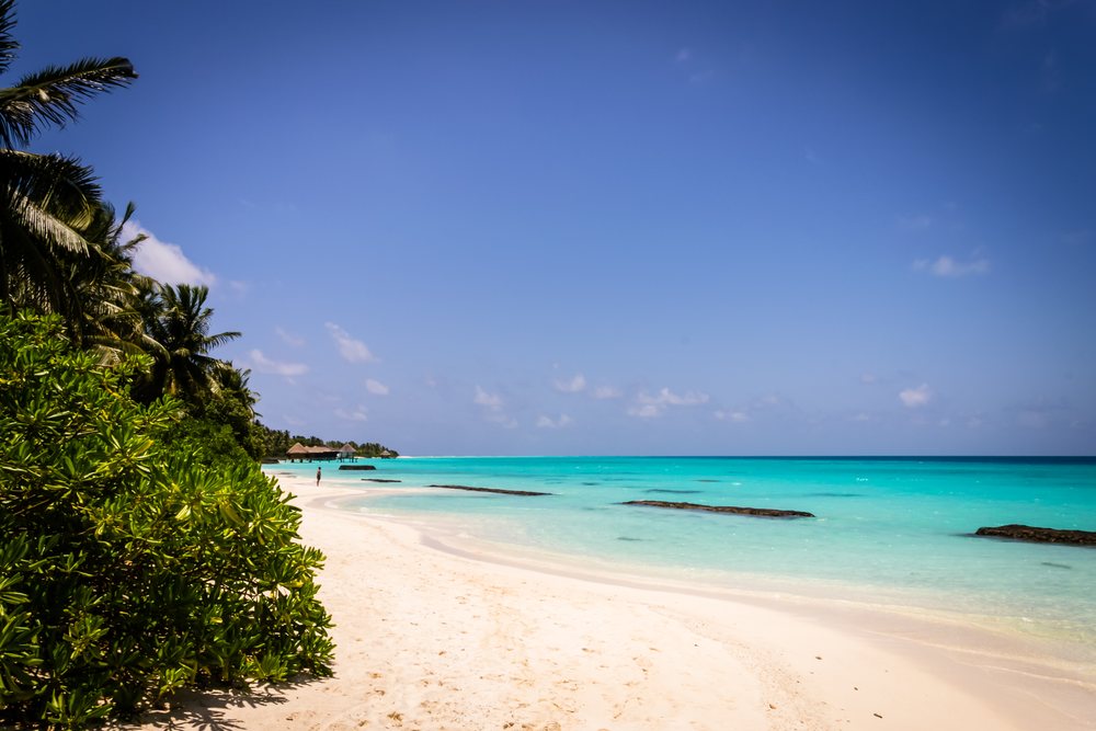 Tropical beach with palm trees and turquoise water in a beach