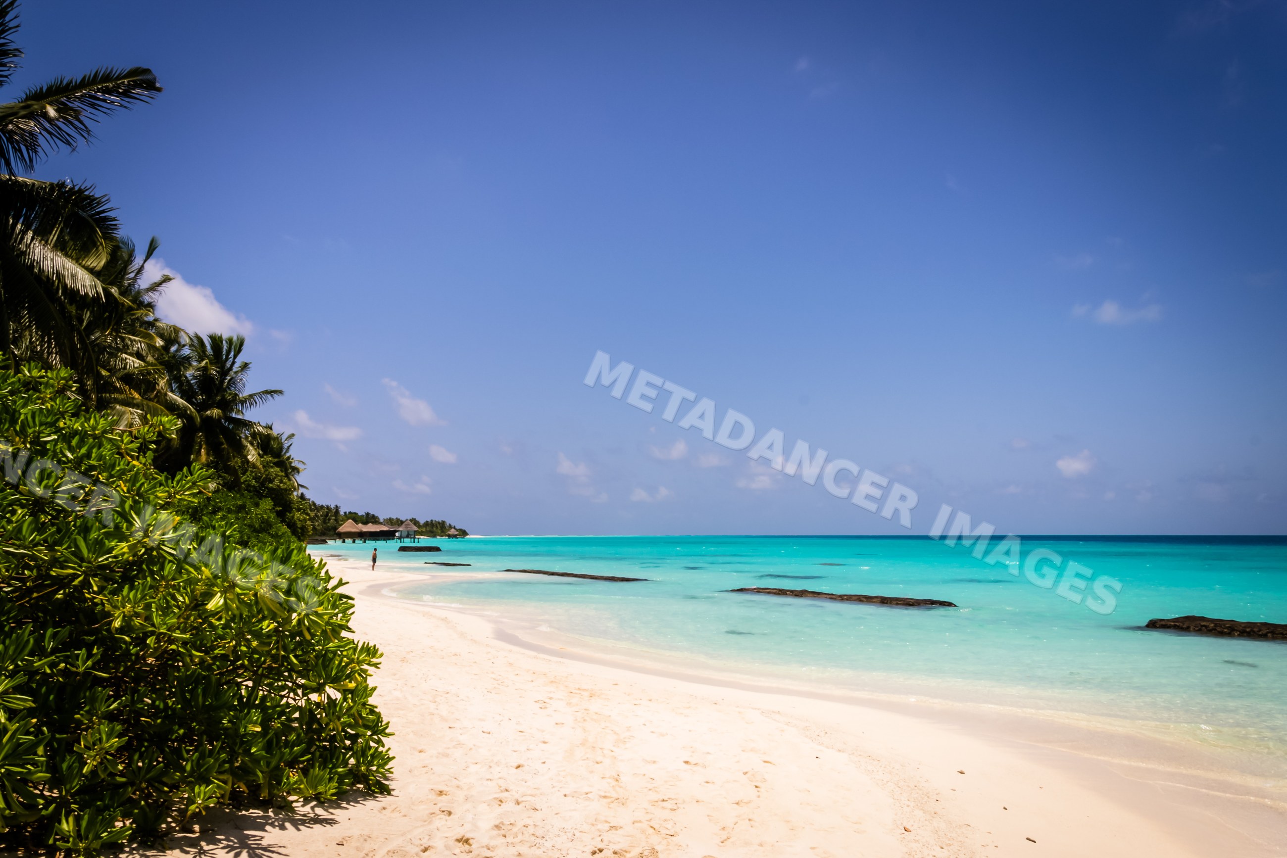 Tropical beach with palm trees and turquoise water in a beach